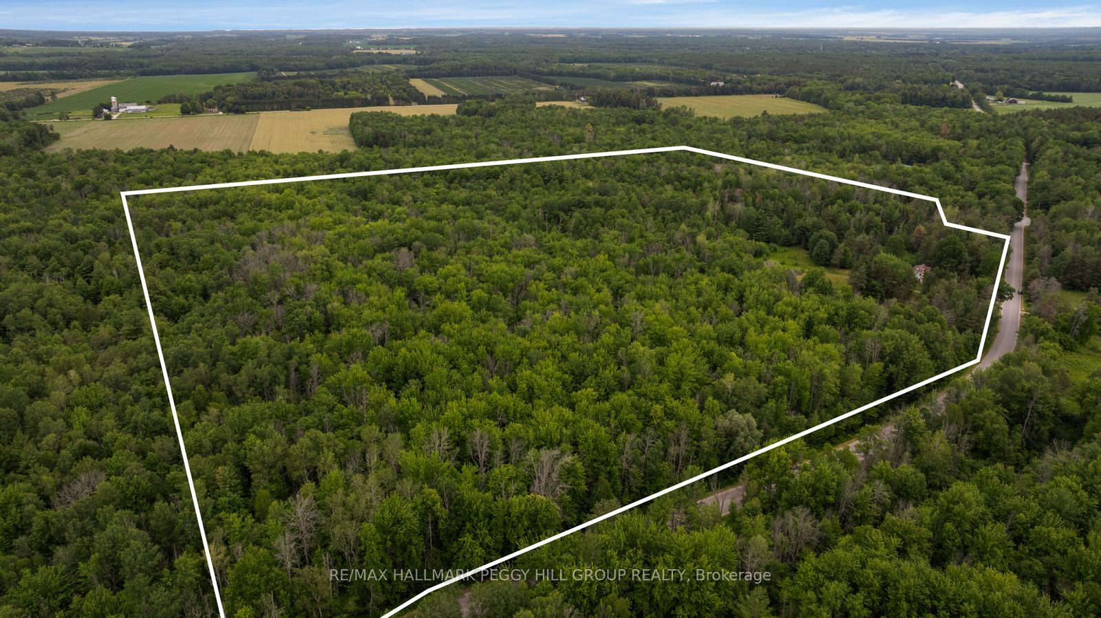 3664 Hogback Road Property Photo 2