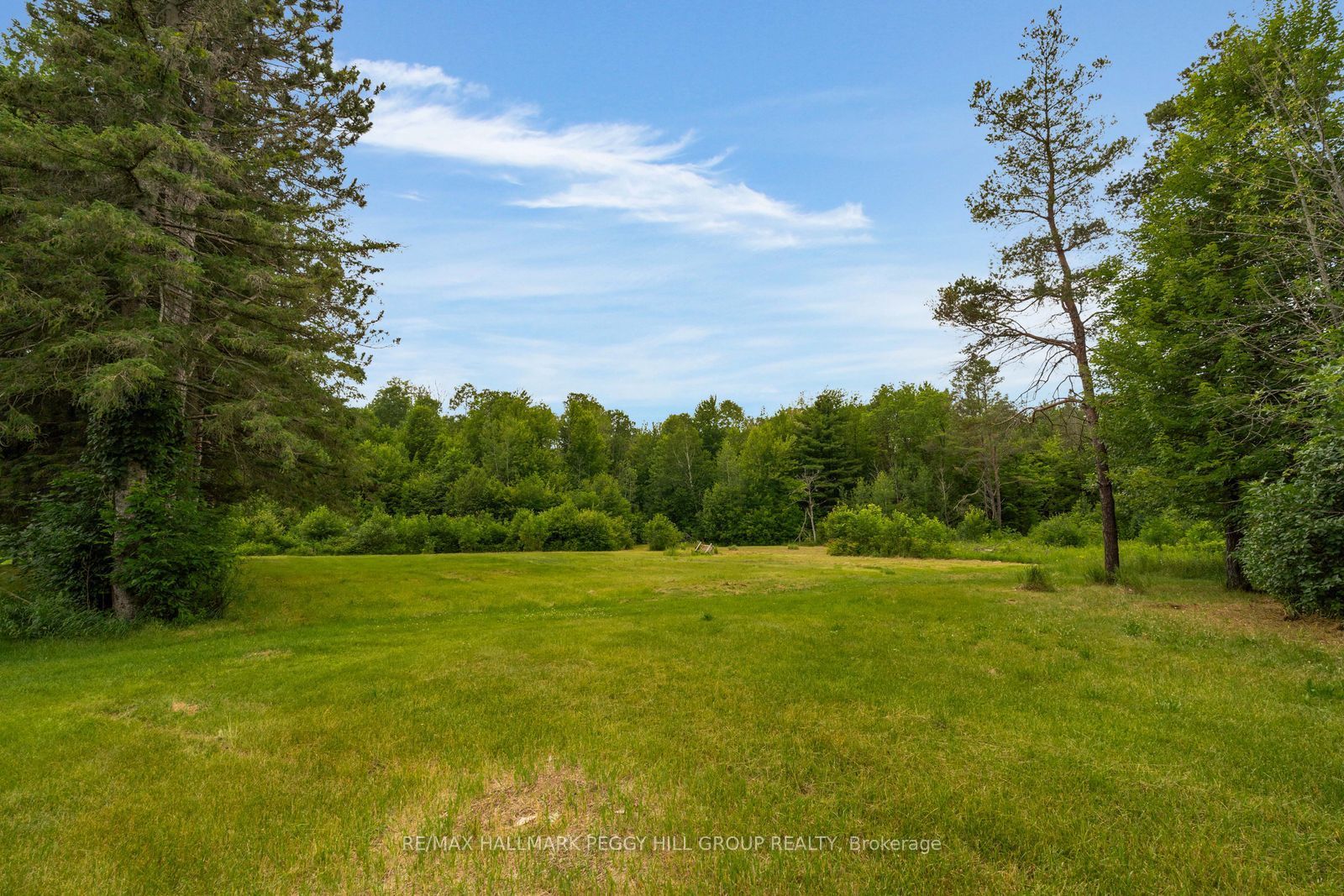 3664 Hogback Road Property Photo 5