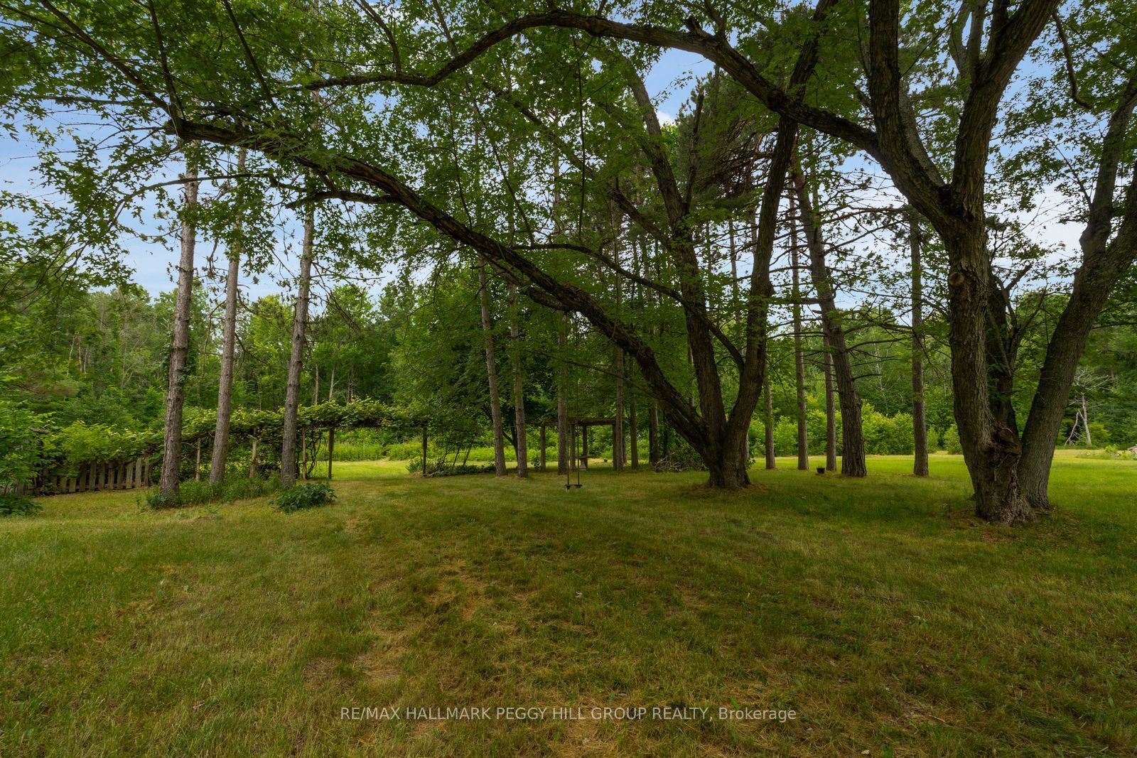 3664 Hogback Road Property Photo 6