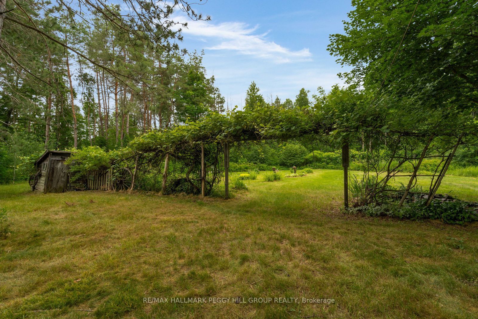 3664 Hogback Road Property Photo 7