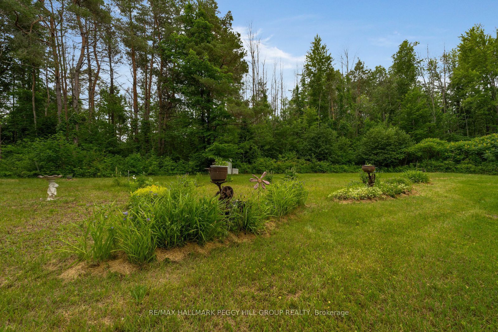3664 Hogback Road Property Photo 8