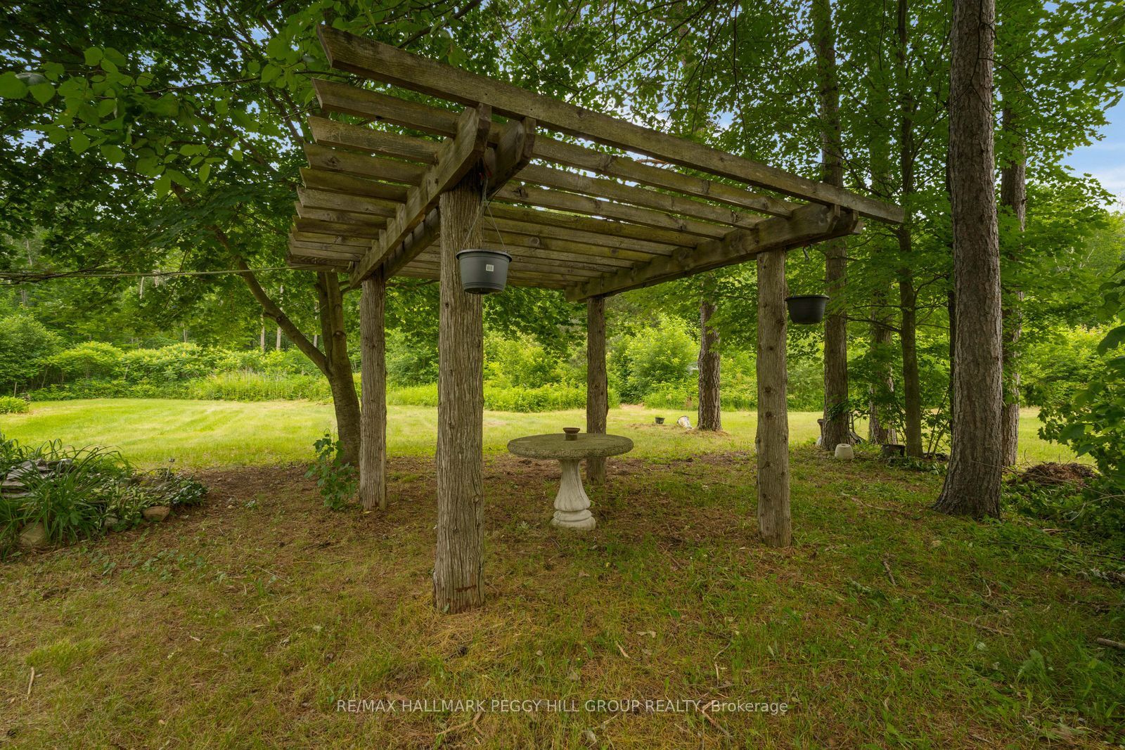 3664 Hogback Road Property Photo 9