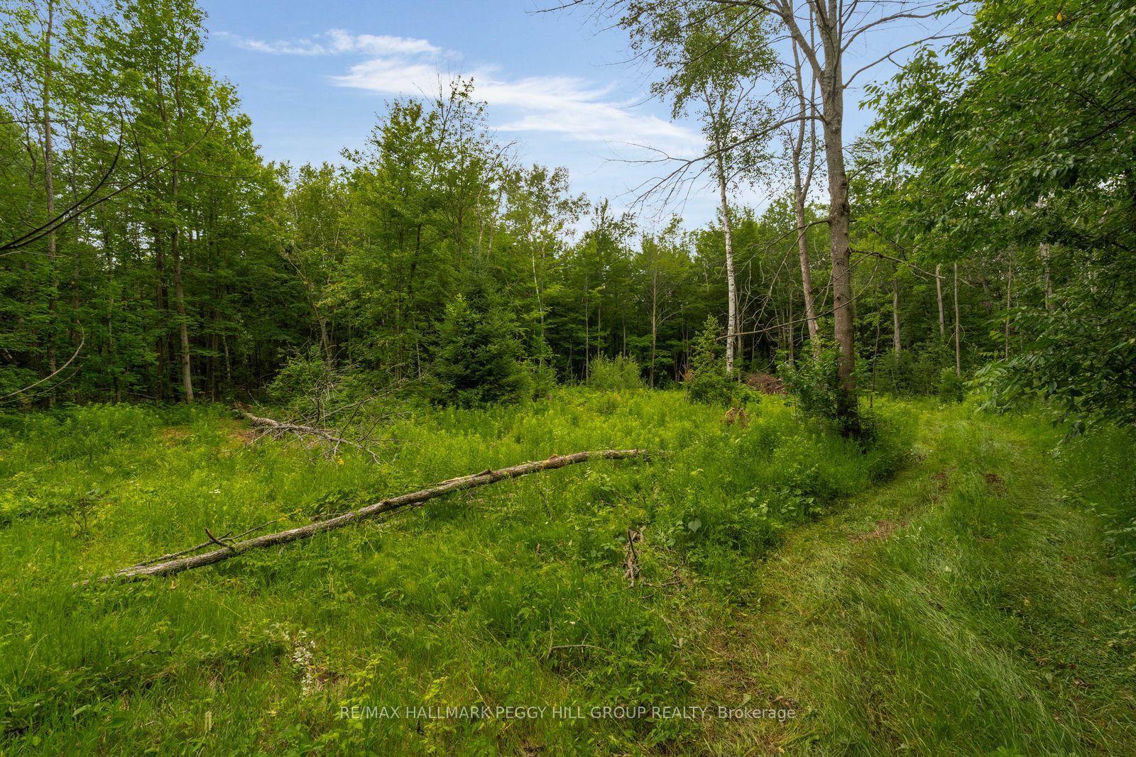 3664 Hogback Road Property Photo 10