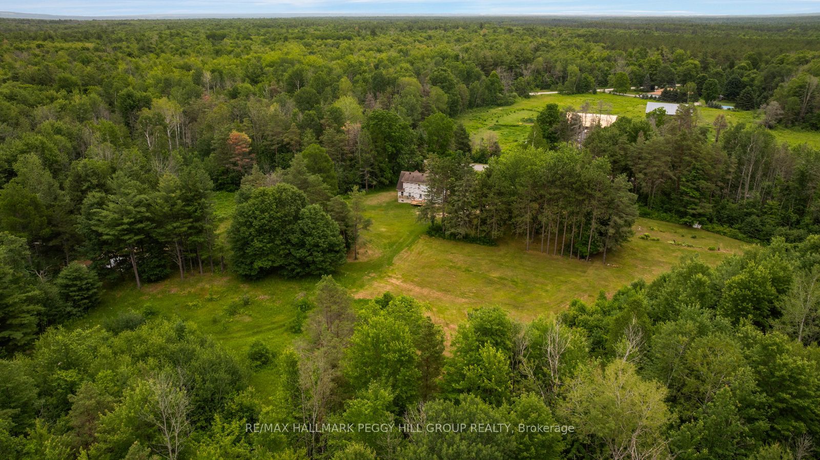 3664 Hogback Road Property Photo 12