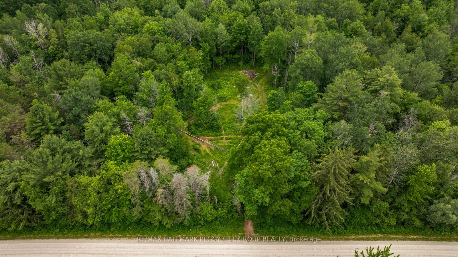 3664 Hogback Road Property Photo 13