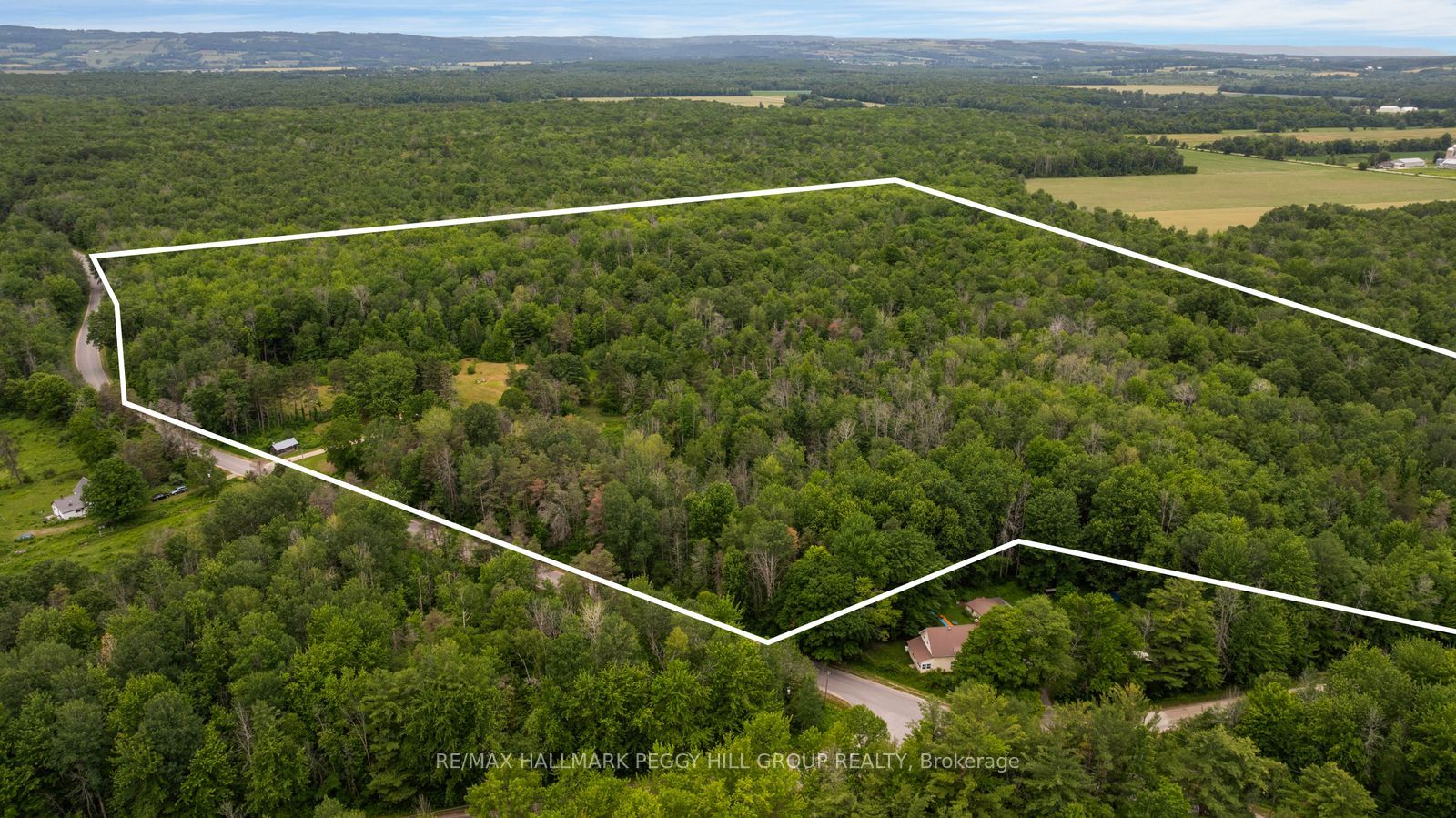 3664 Hogback Road Property Photo 14