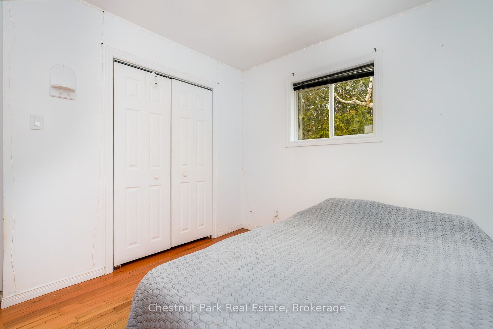 4 Parkside Avenue Property Photo 19