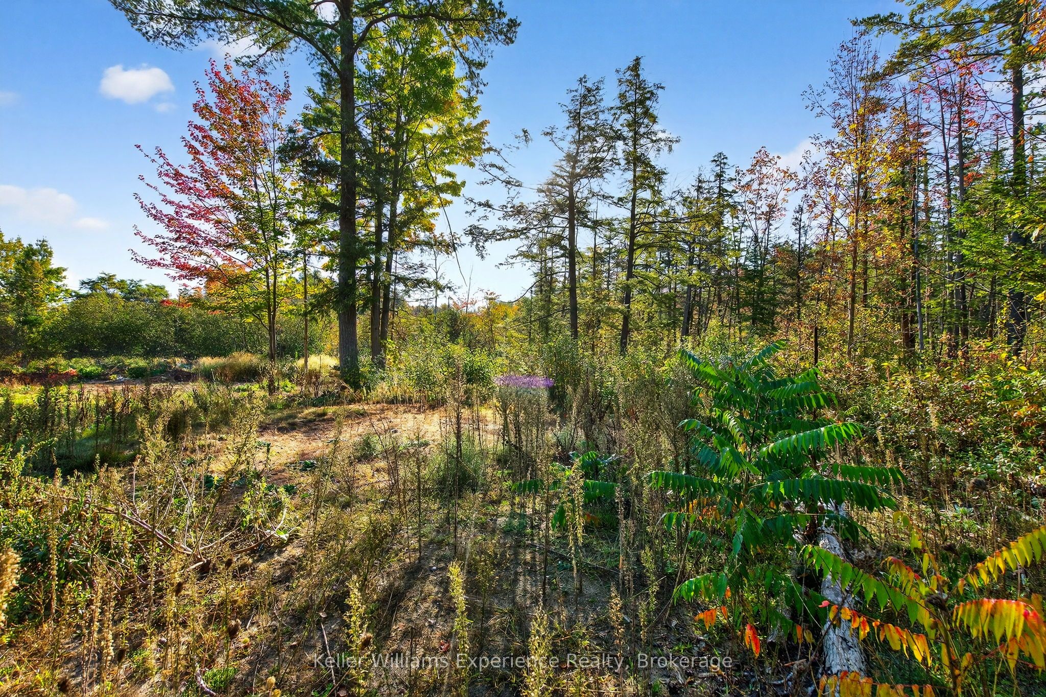 556 Champlain Road Property Photo 32