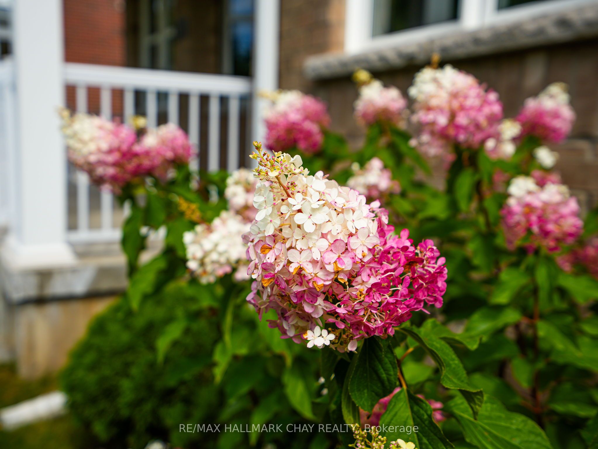 213 Mary Street Property Photo 8