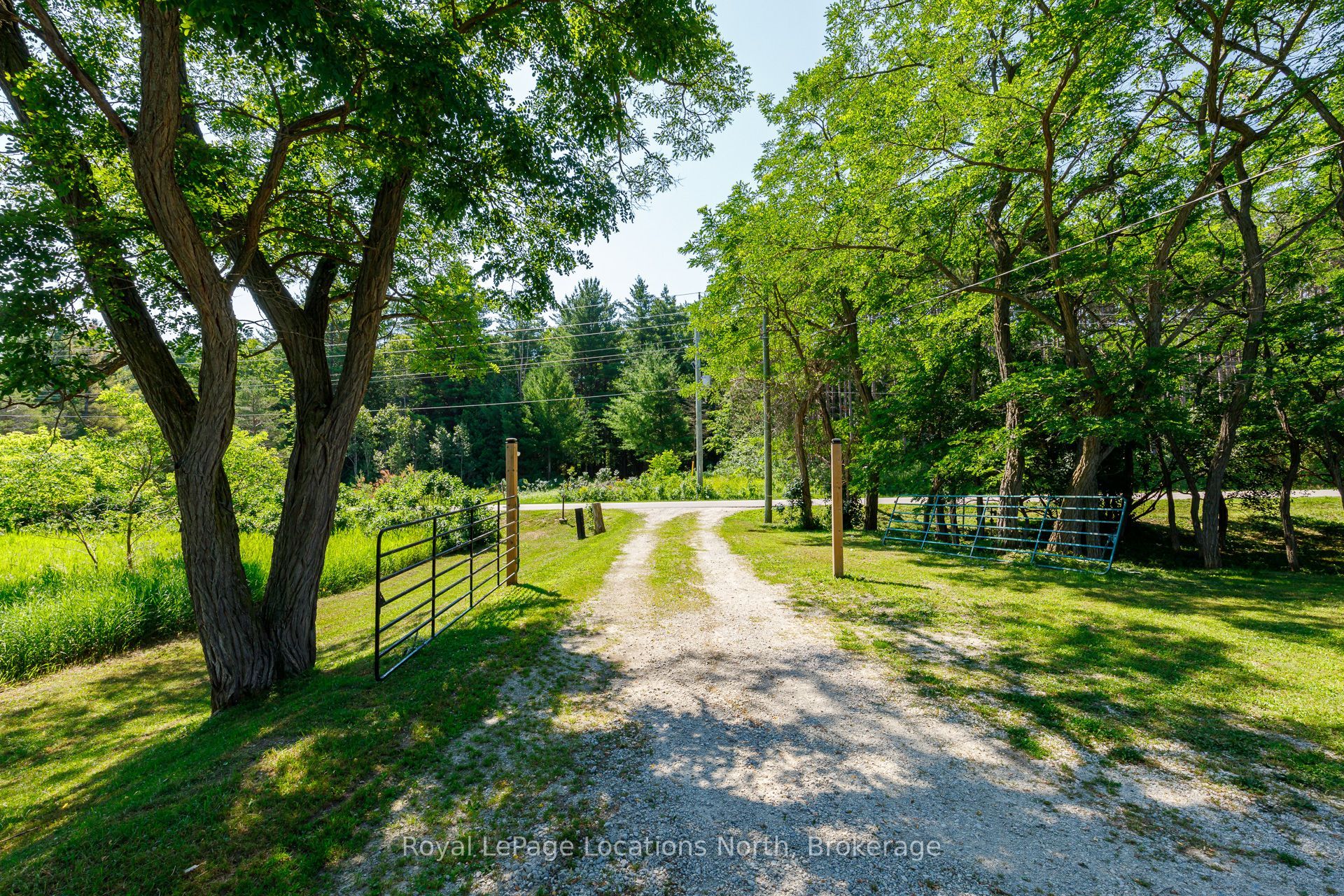 4080 12 Concession Property Photo 4
