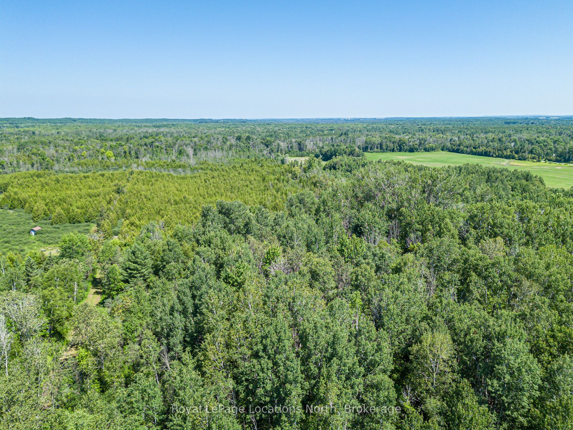 4080 12 Concession Property Photo 5