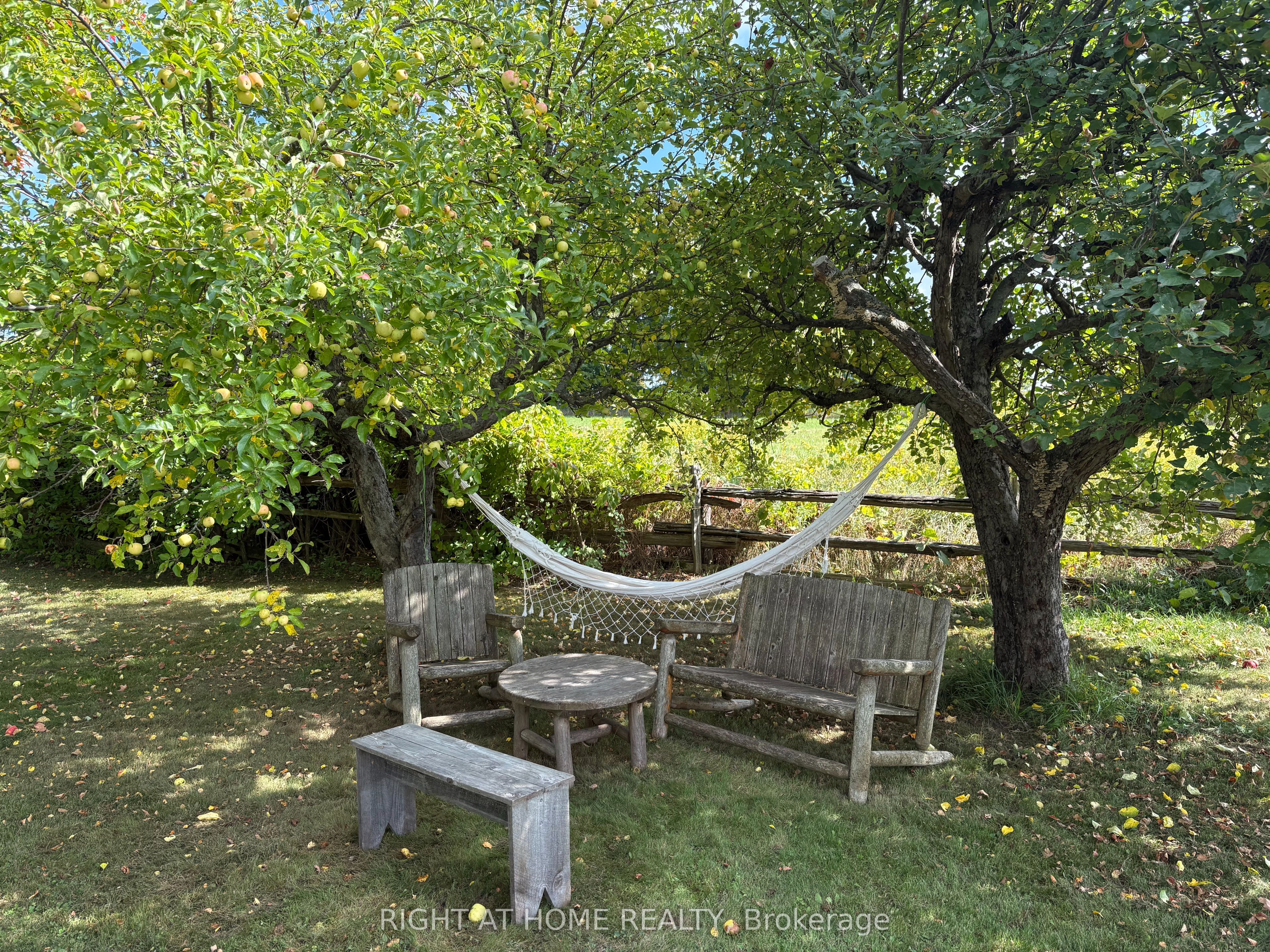 1284 Rumney Road Property Photo 40