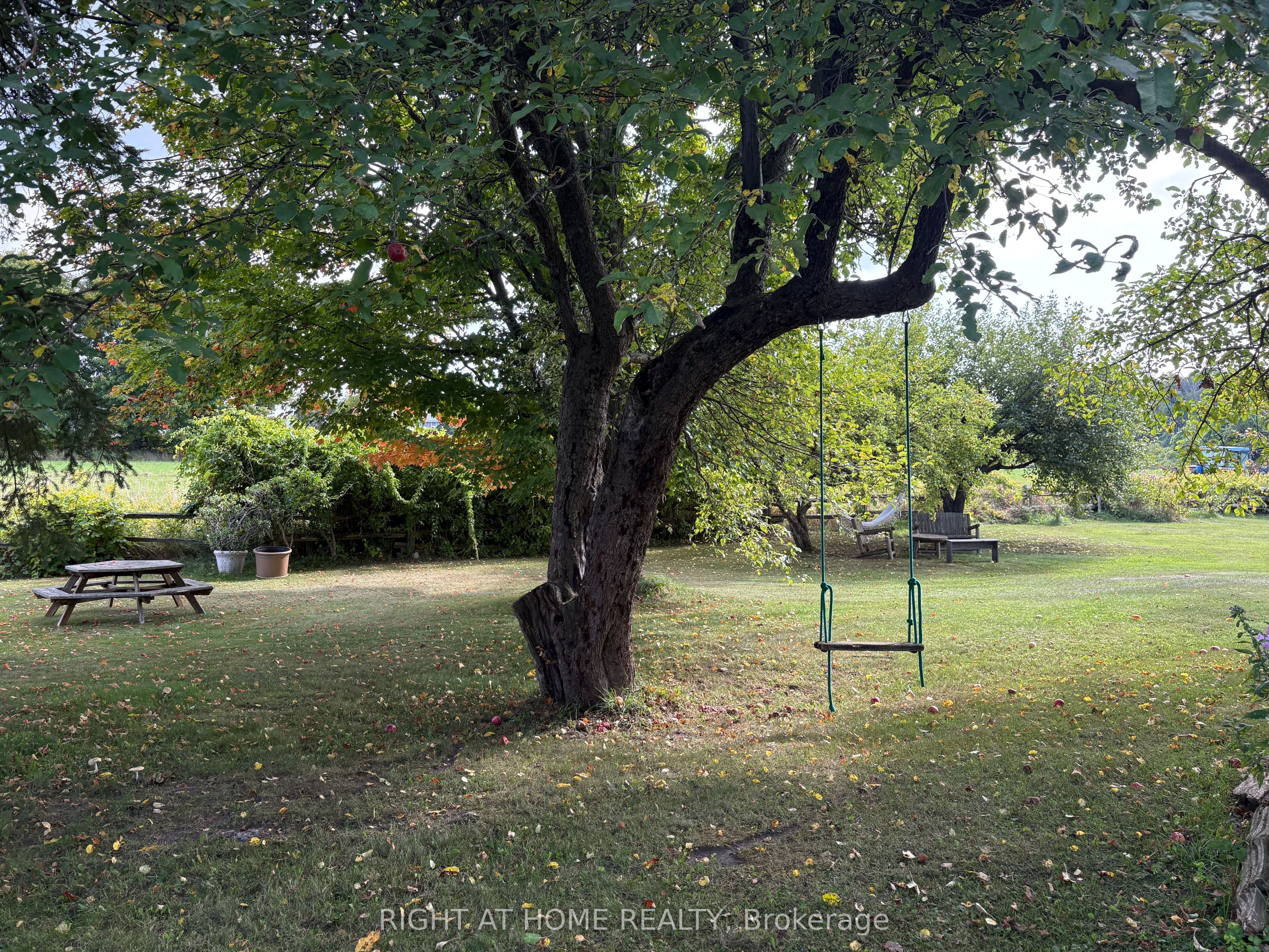 1284 Rumney Road Property Photo 42