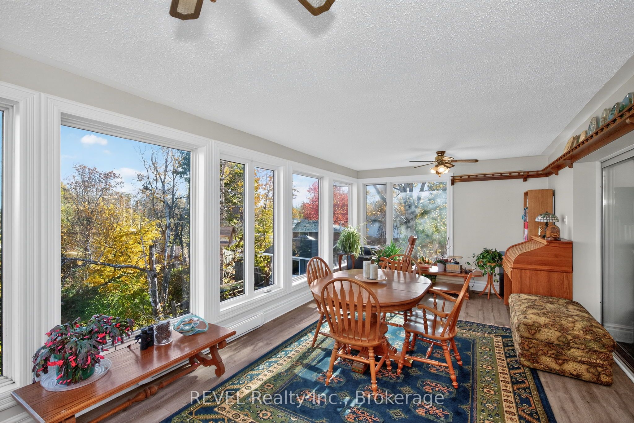 635 William Street Property Photo 17