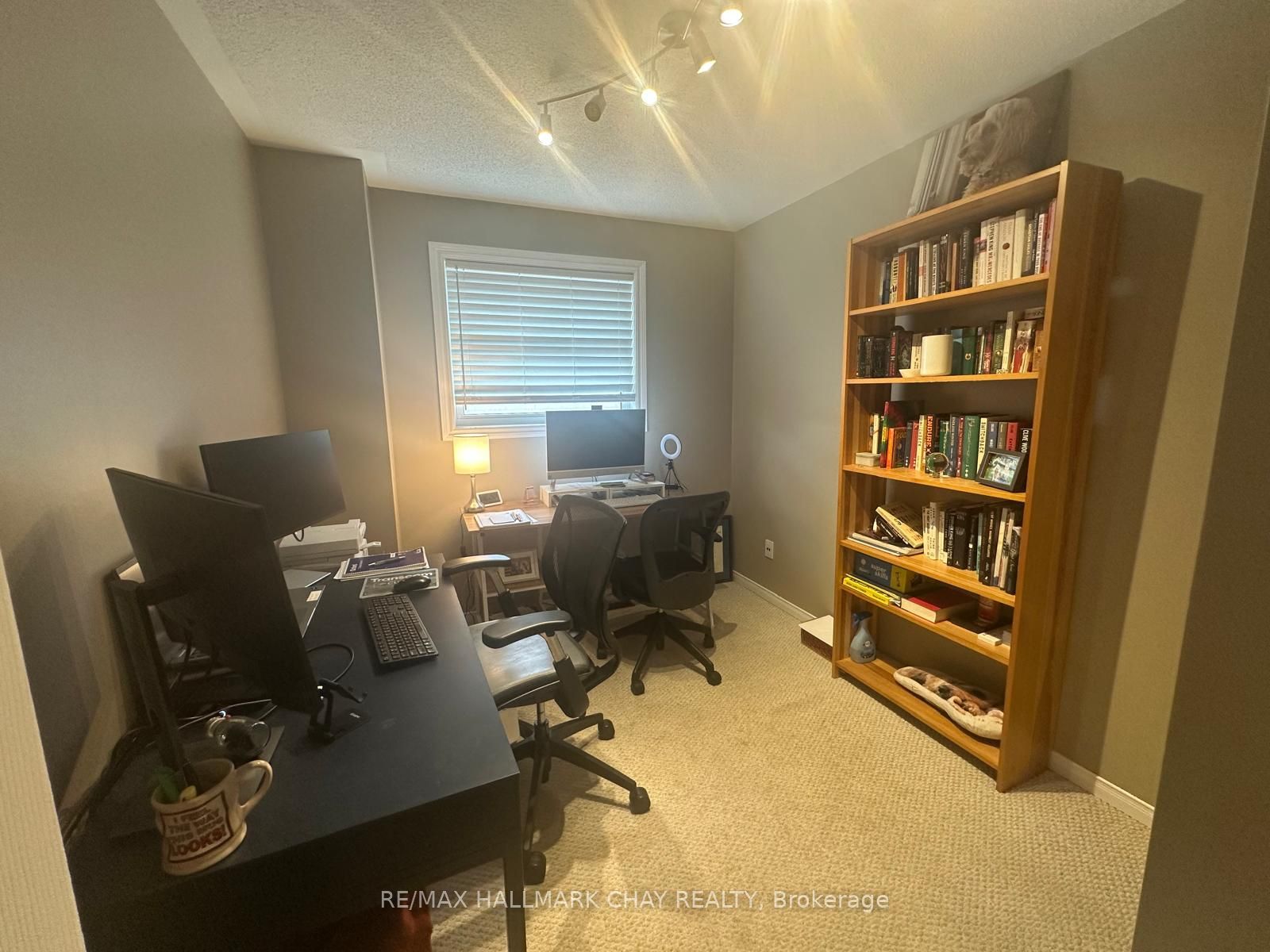 10 Longman Drive Property Photo 11