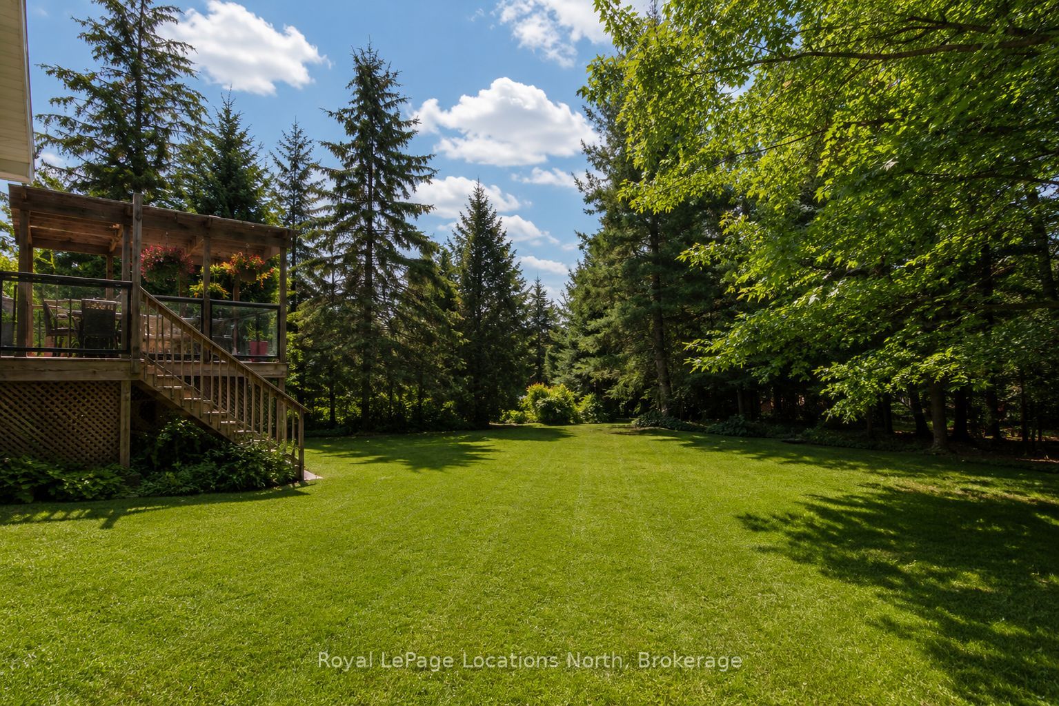33 Birchwood Trail Property Photo 4