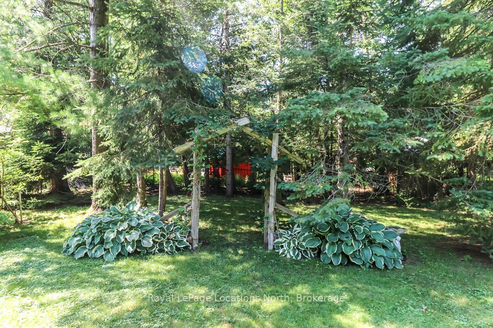 33 Birchwood Trail Property Photo 5
