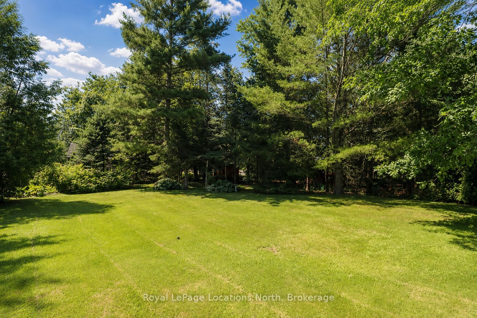 33 Birchwood Trail Property Photo 42