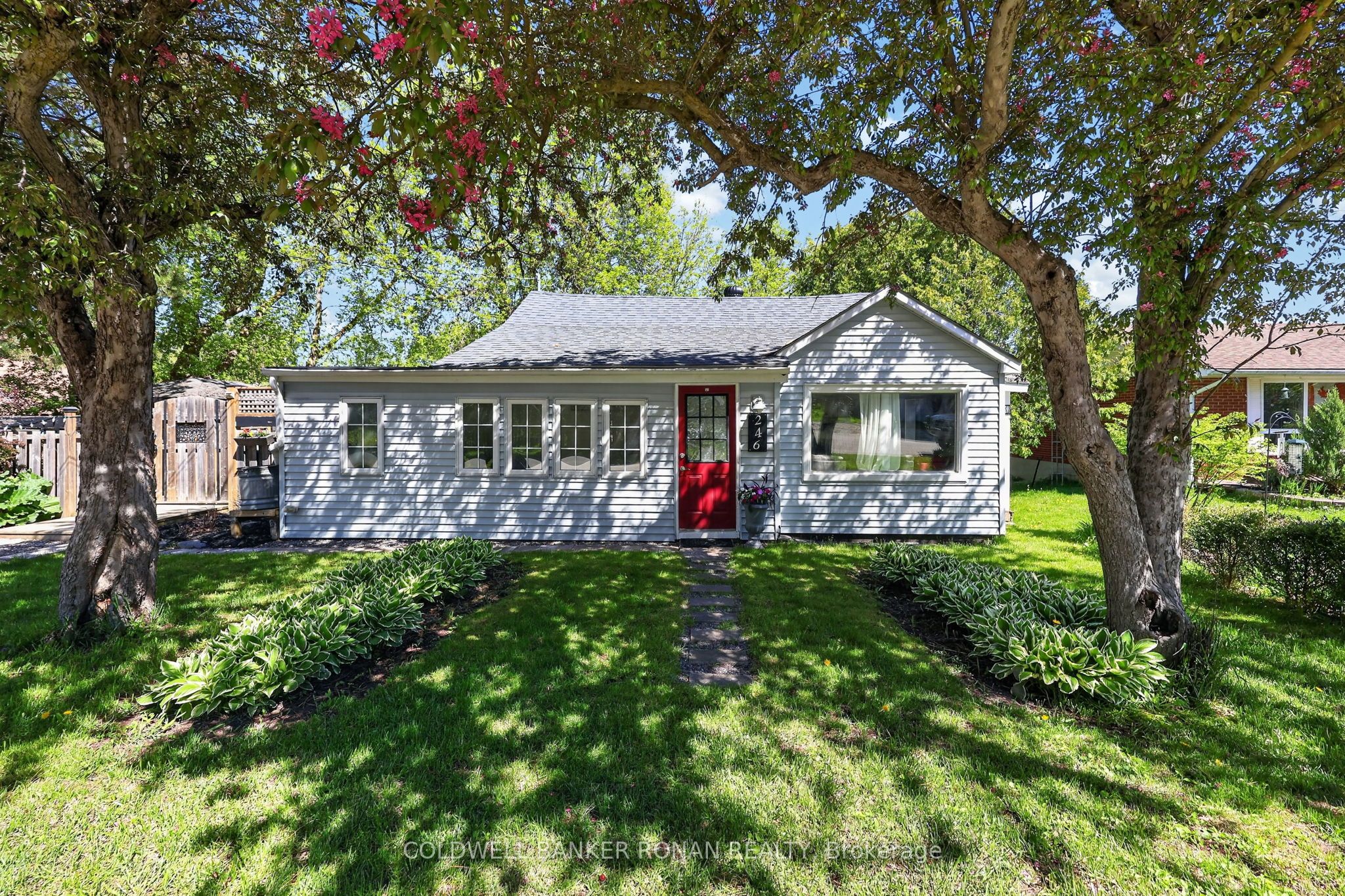 246 Weir Street Property Photo 3