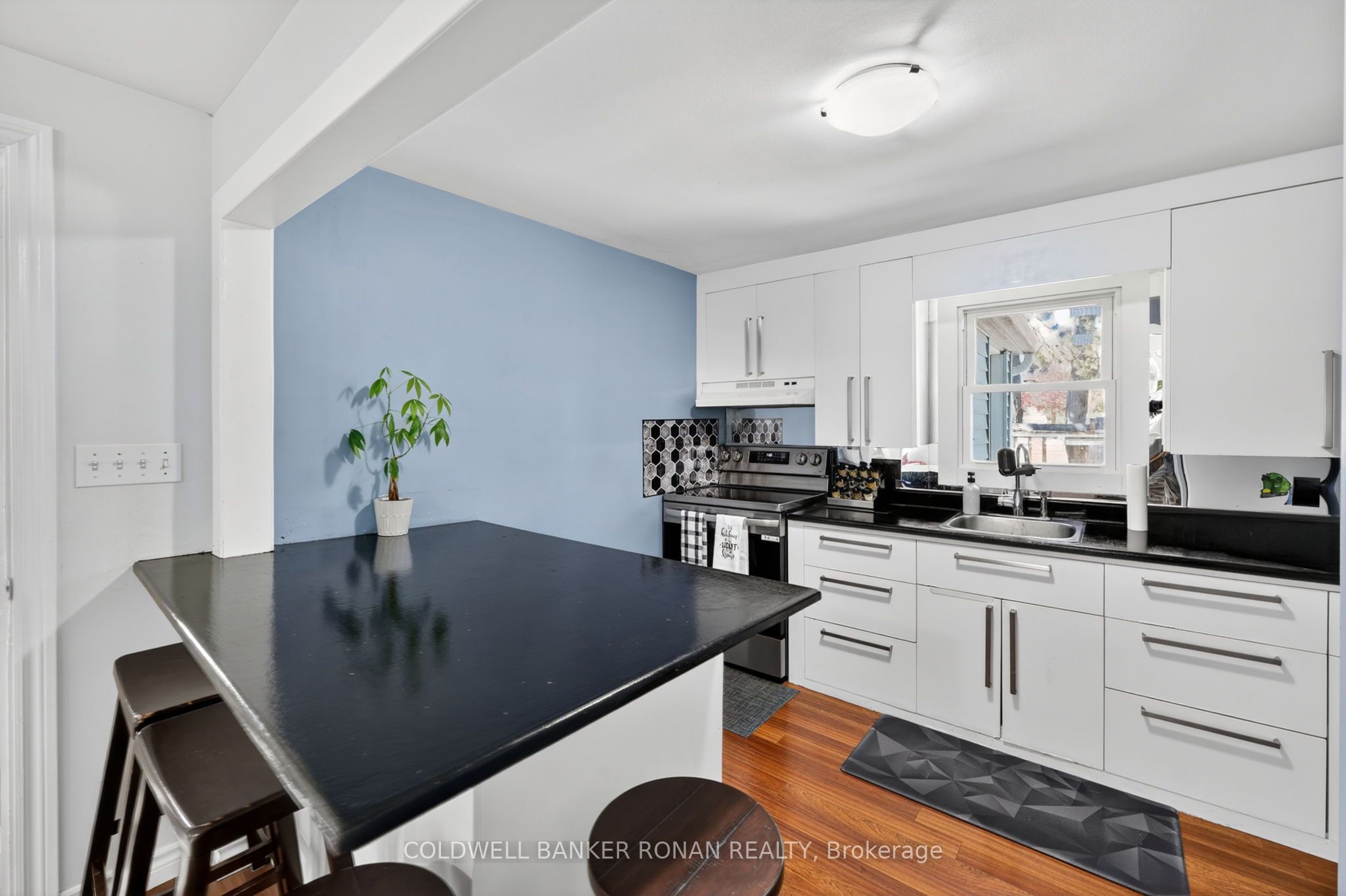 246 Weir Street Property Photo 19