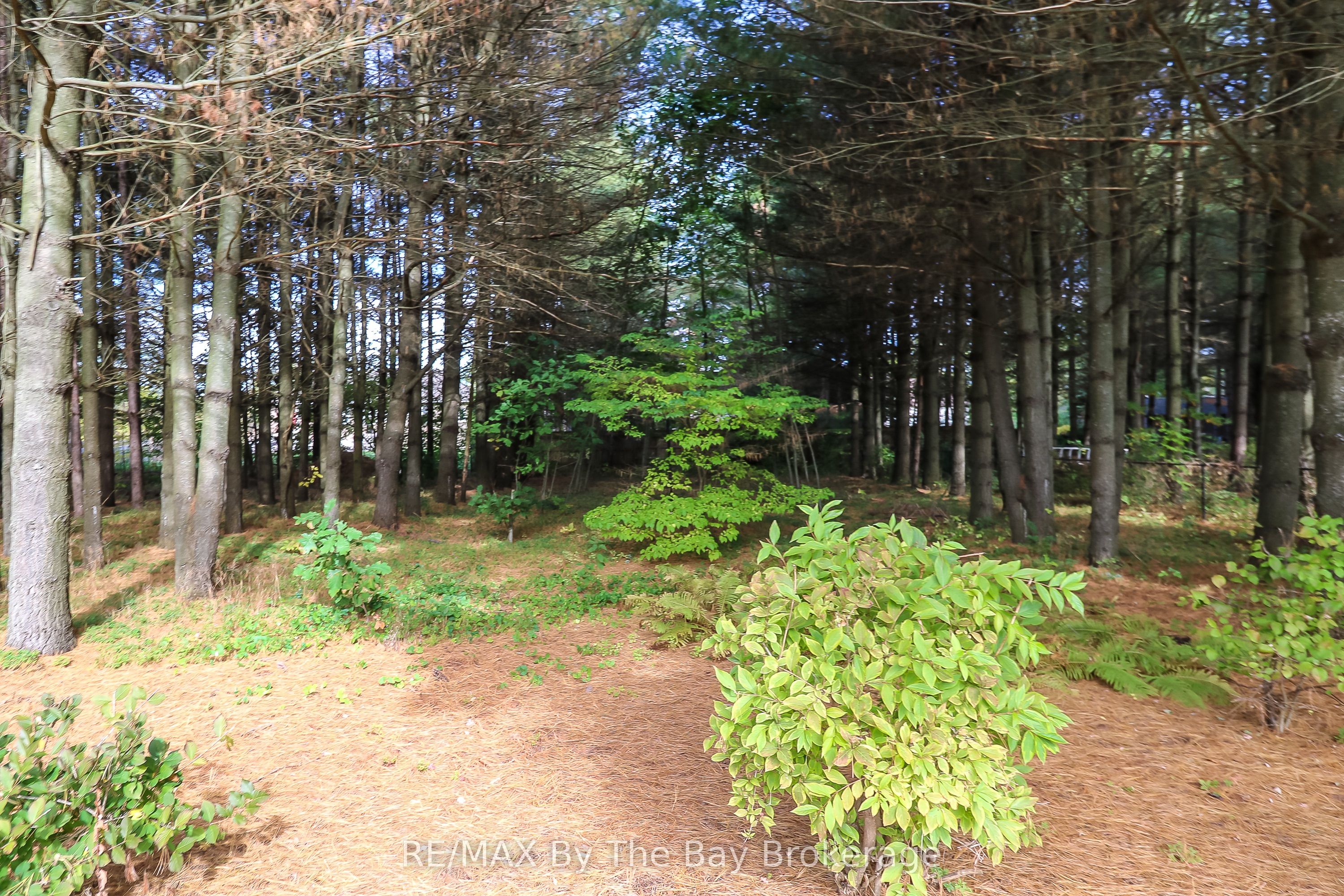 60 Martyn Drive Property Photo 46