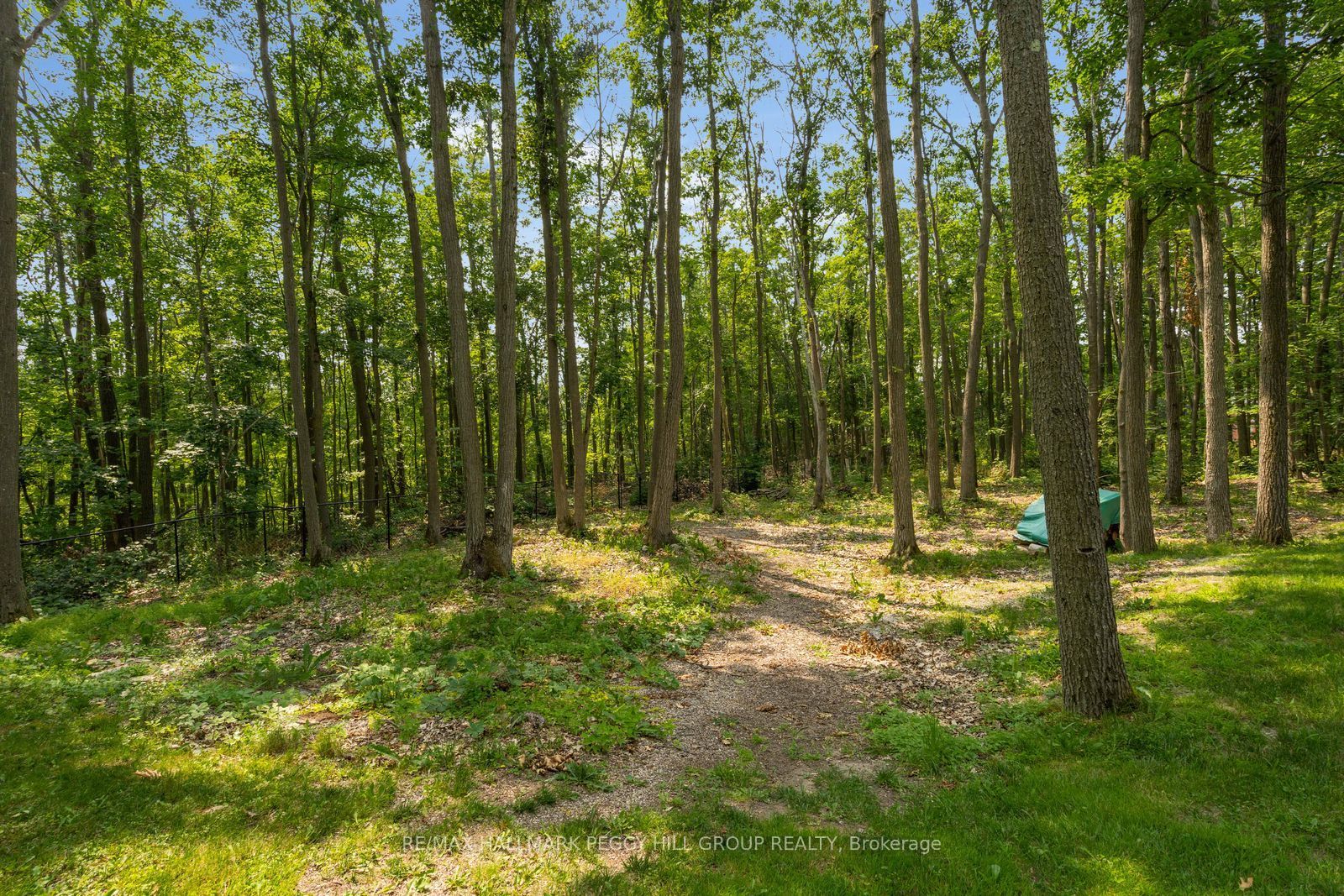 6 Maplehill Drive Property Photo 19