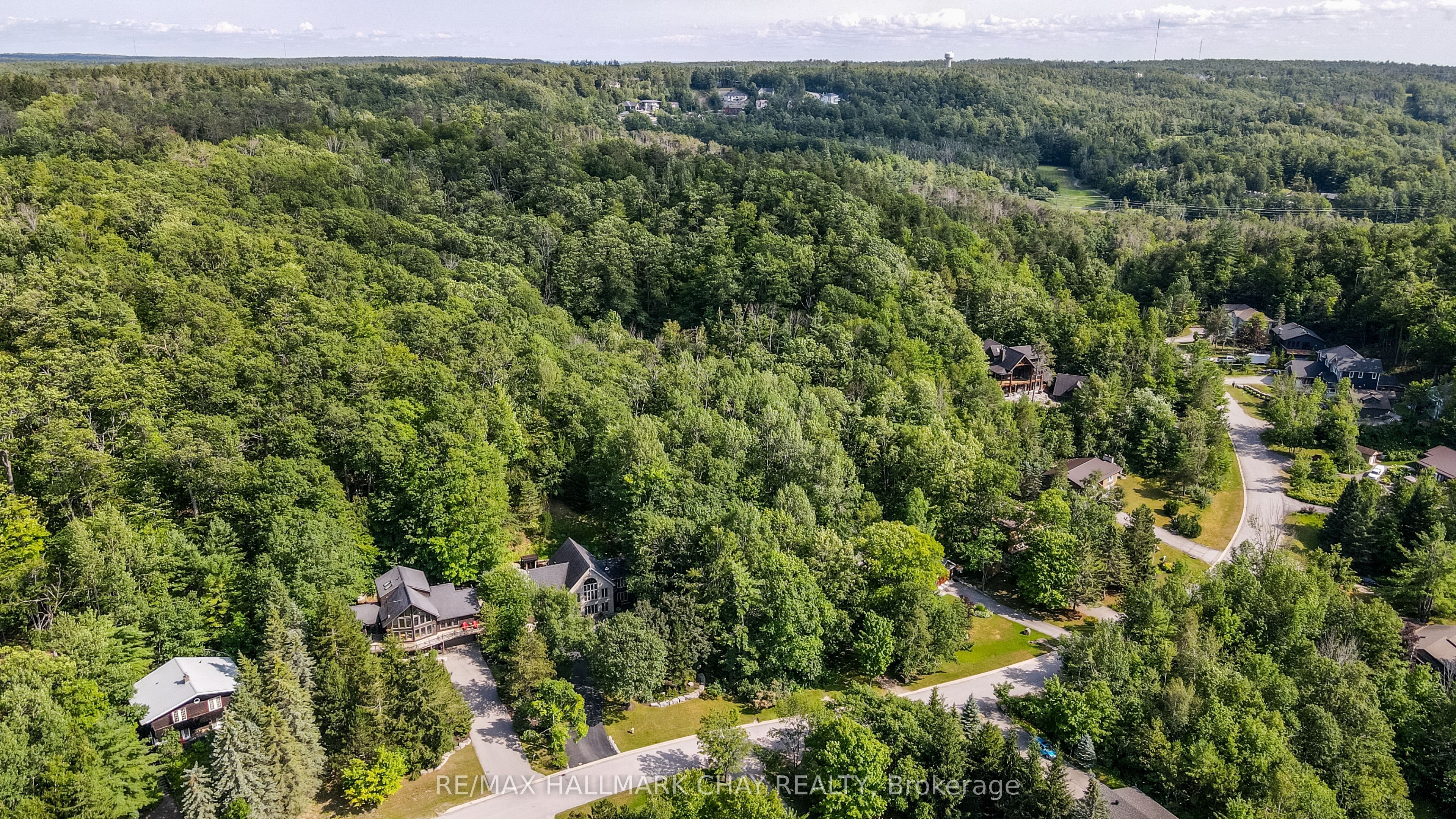 46 Pine Ridge Trail Property Photo 4