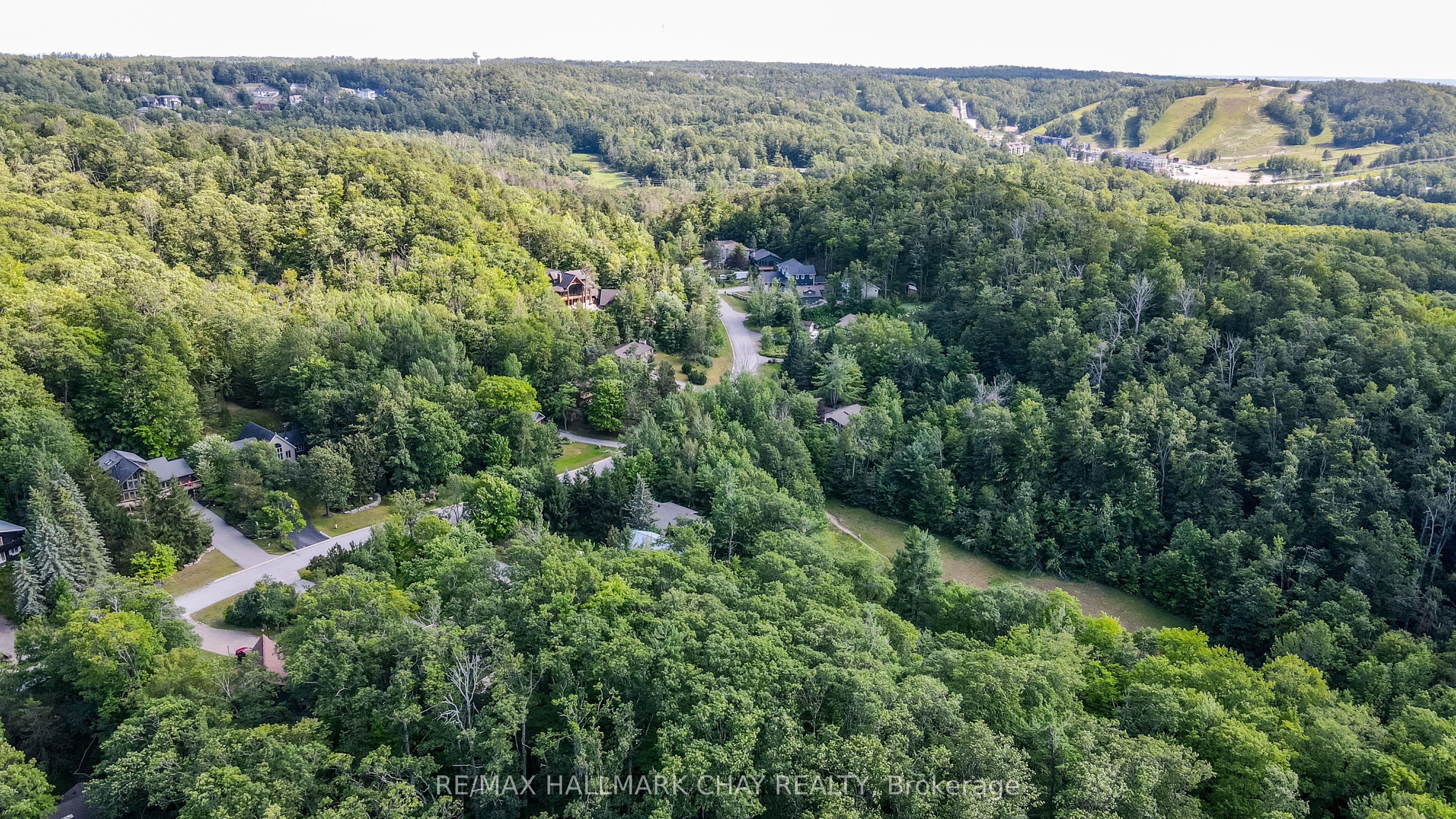 46 Pine Ridge Trail Property Photo 25
