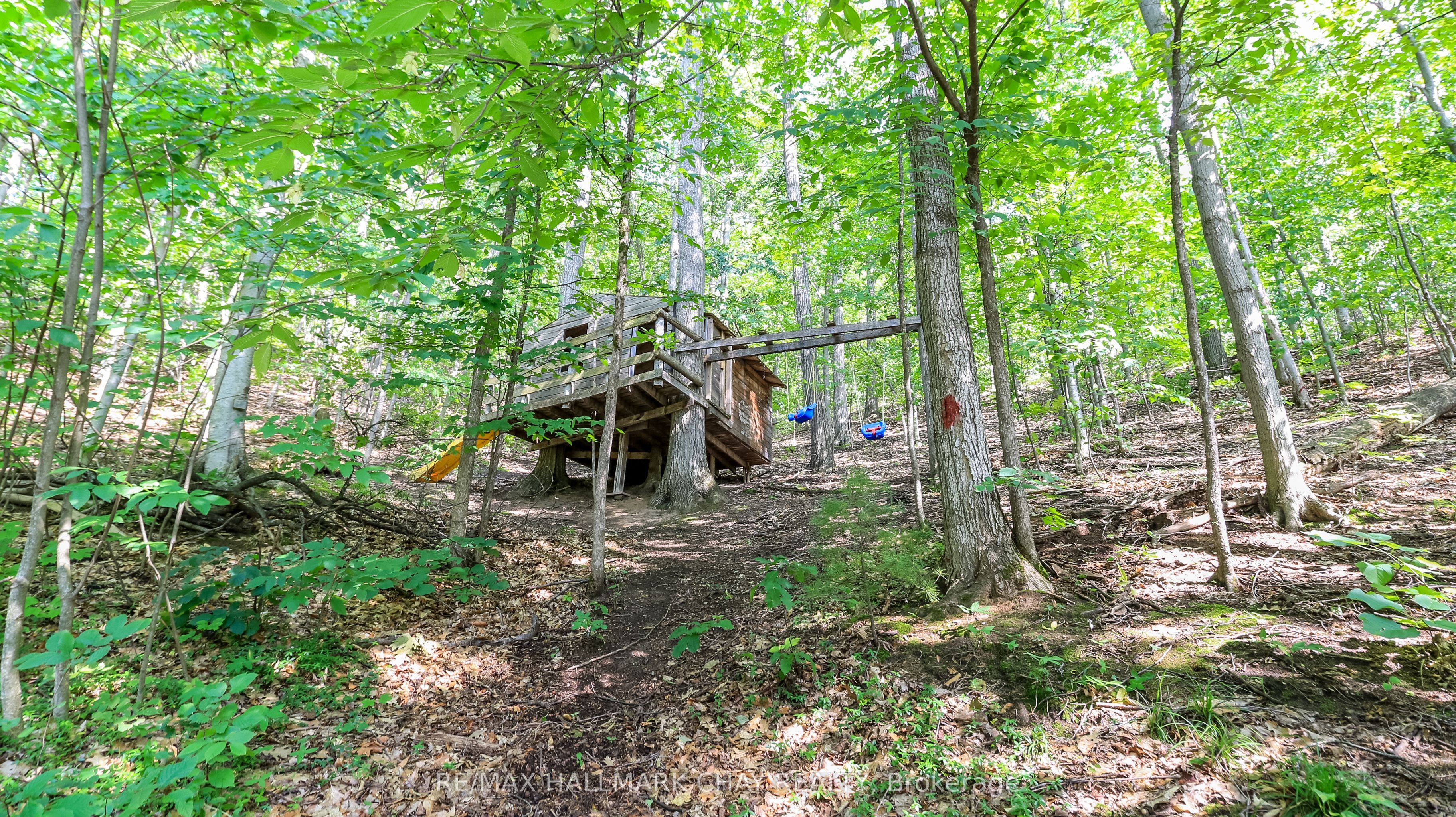 46 Pine Ridge Trail Property Photo 27