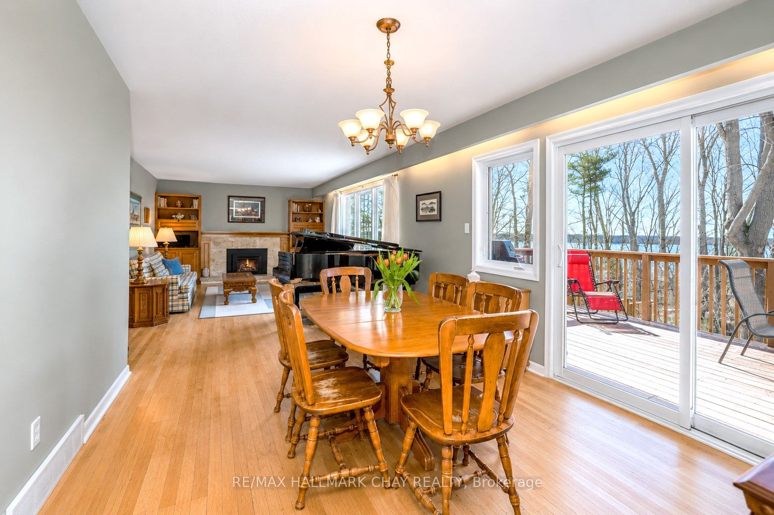 365 Codrington Street Property Photo 12