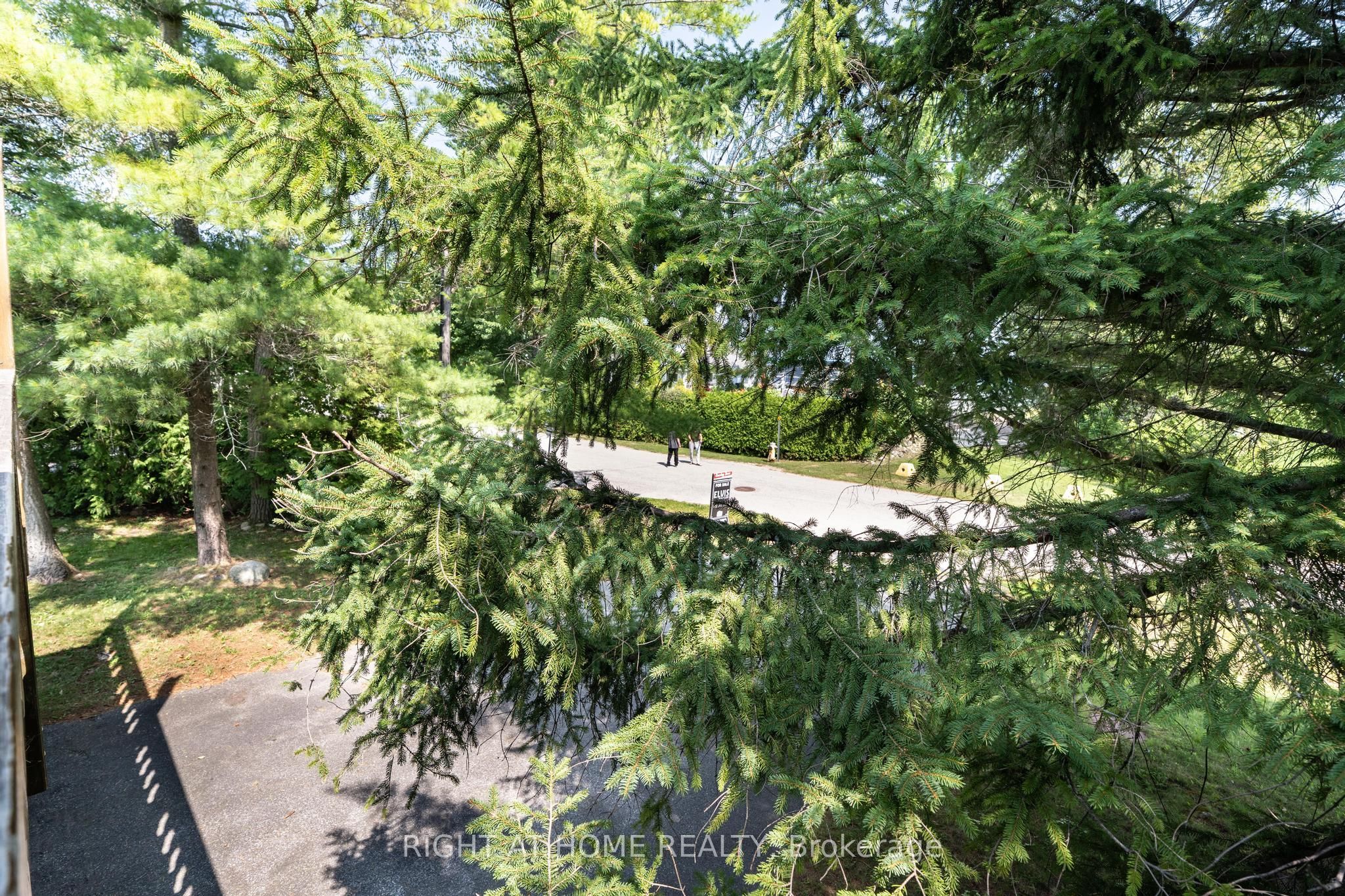 25 William Avenue Property Photo 23