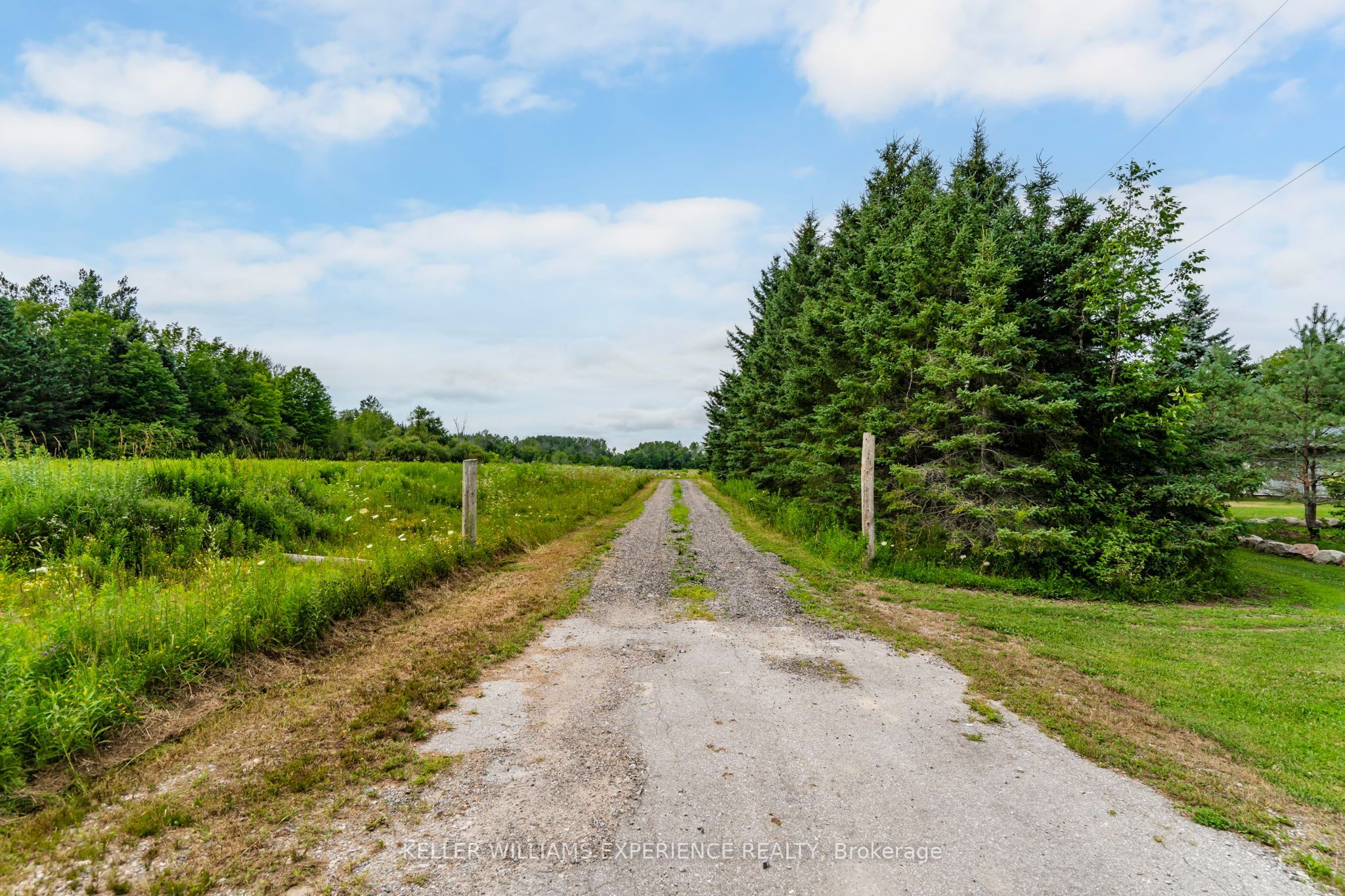 320 6 Concession E Property Photo 45