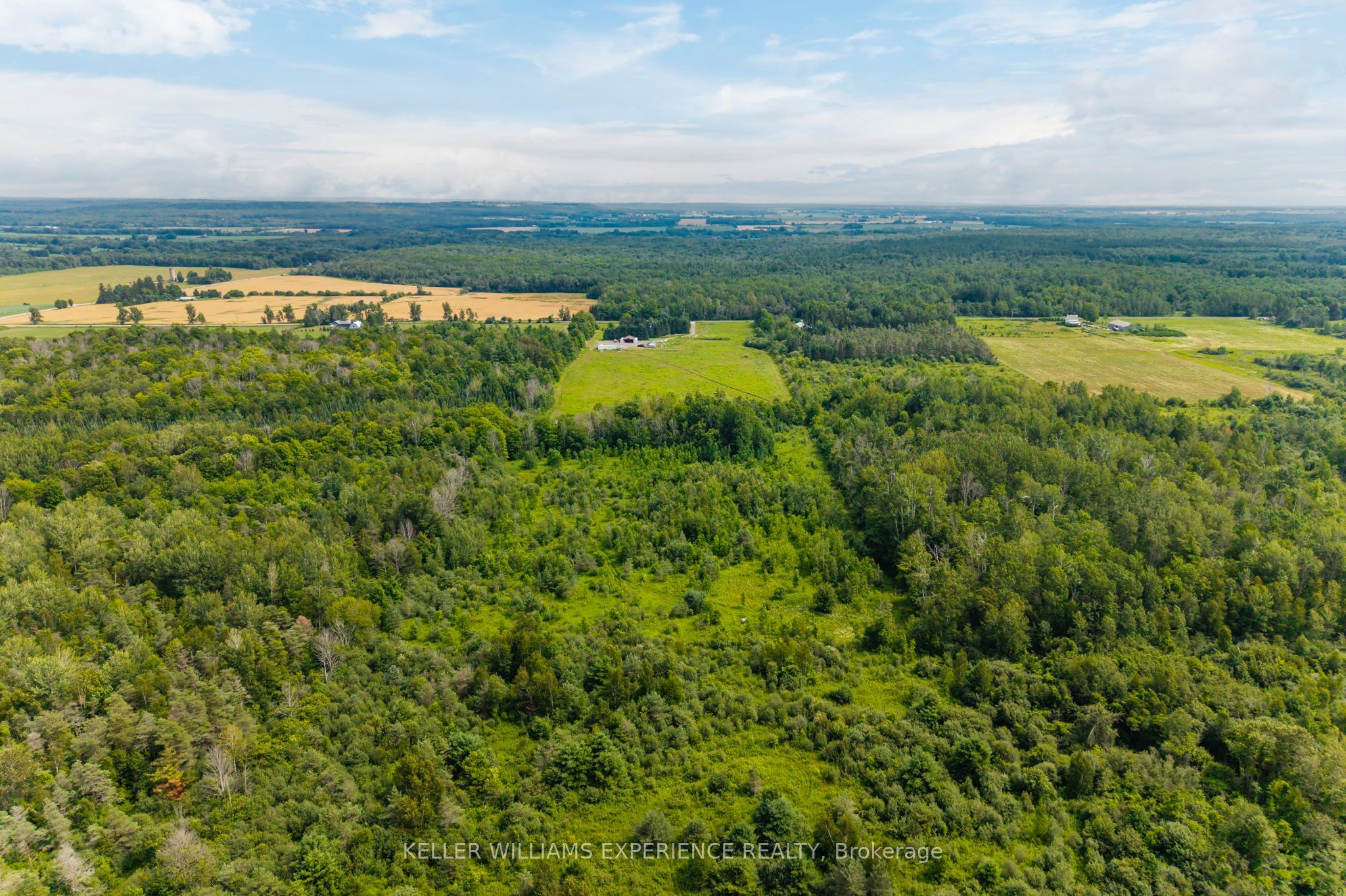 320 6 Concession E Property Photo 46