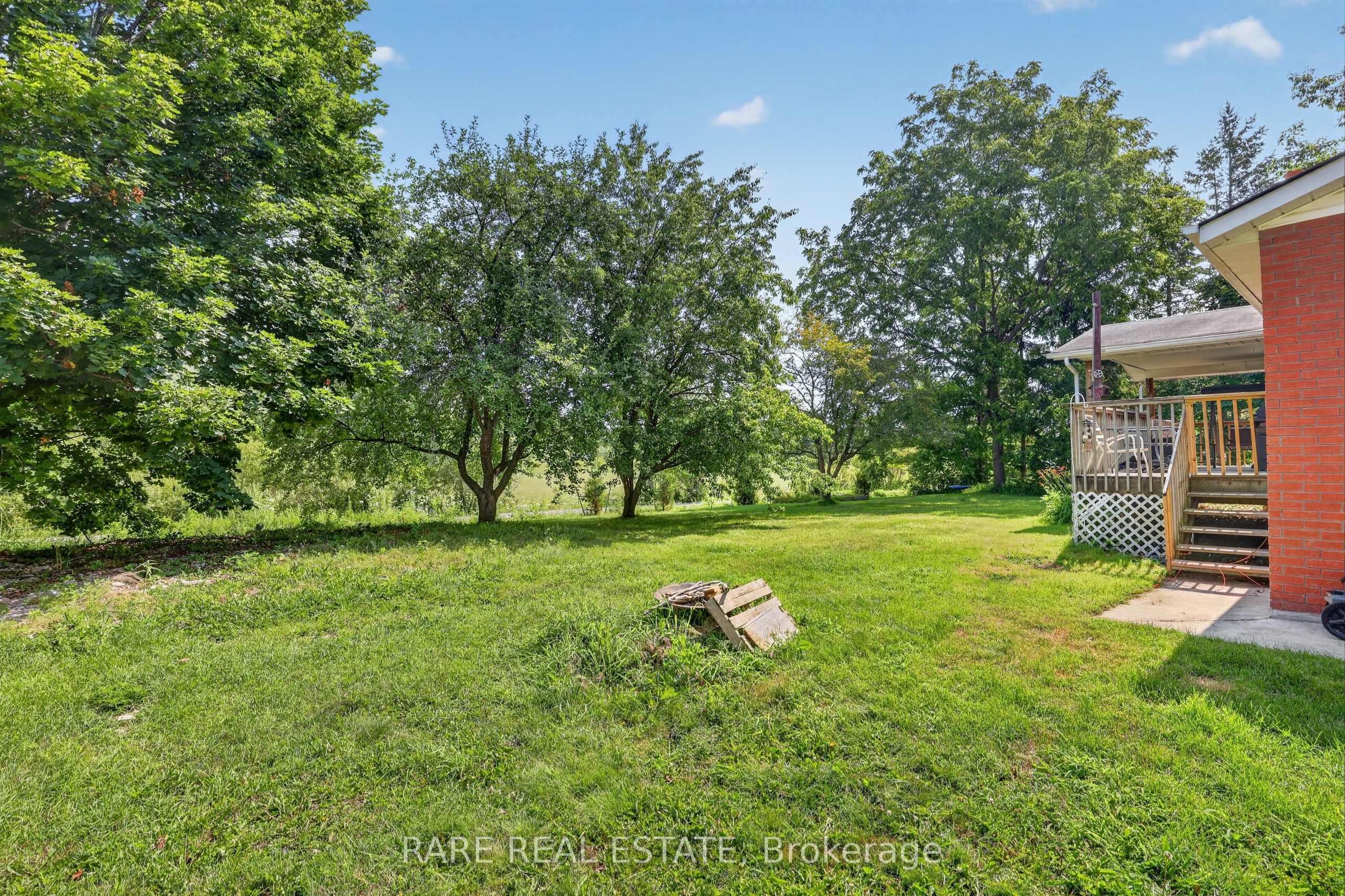 15 Switzer Street Property Photo 33