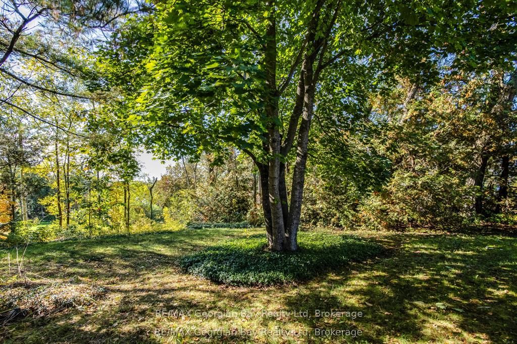 134 Forest Harbour Parkway Property Photo 35