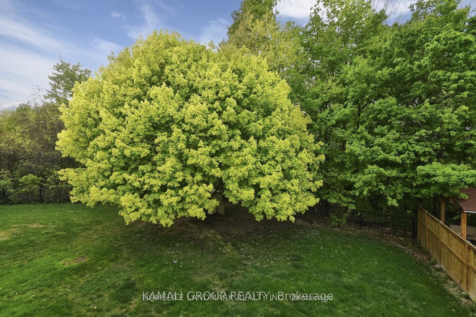 72 Osprey Ridge Road Property Photo 18