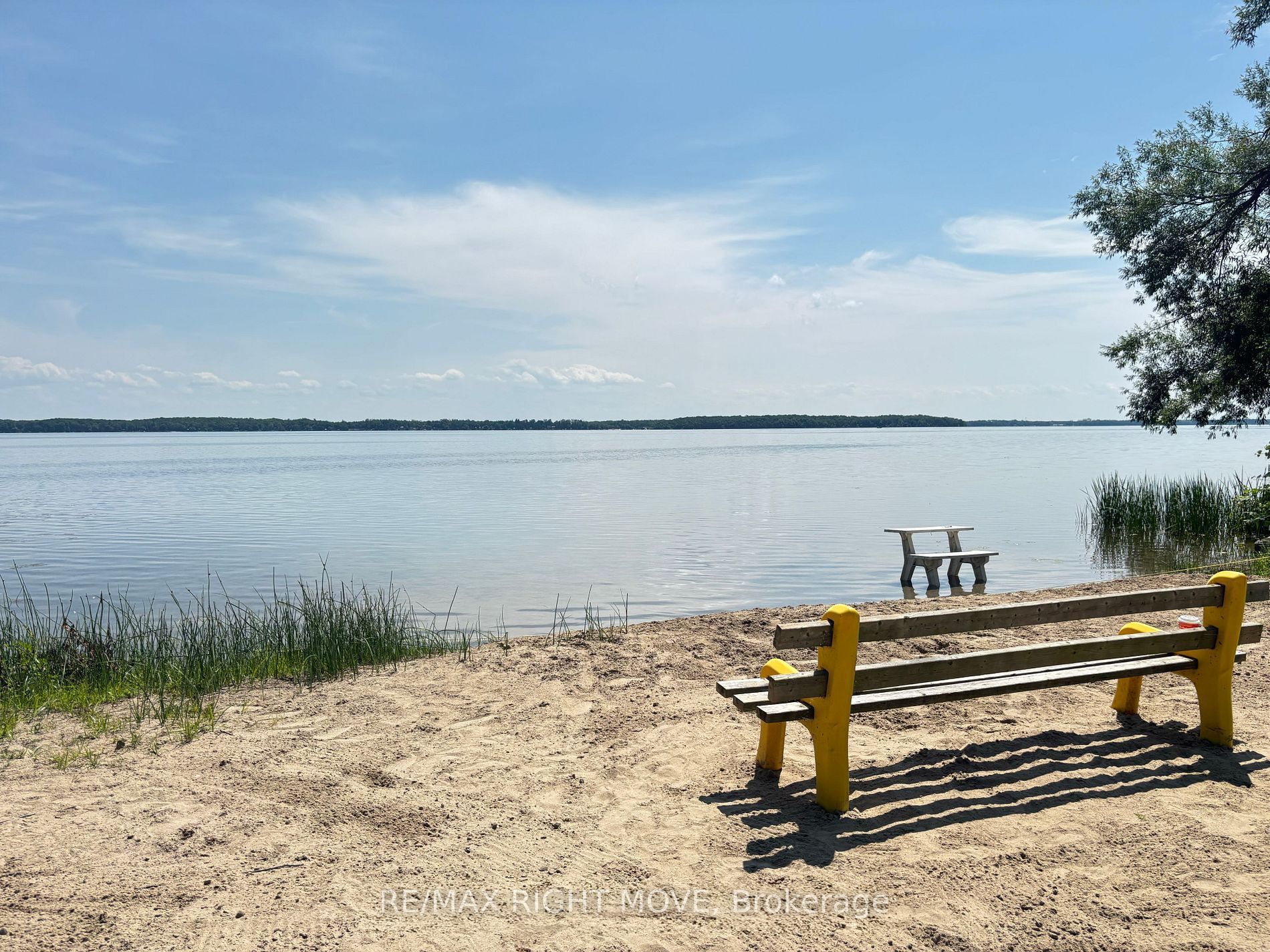 3705 Shadow Creek Road Property Photo 42