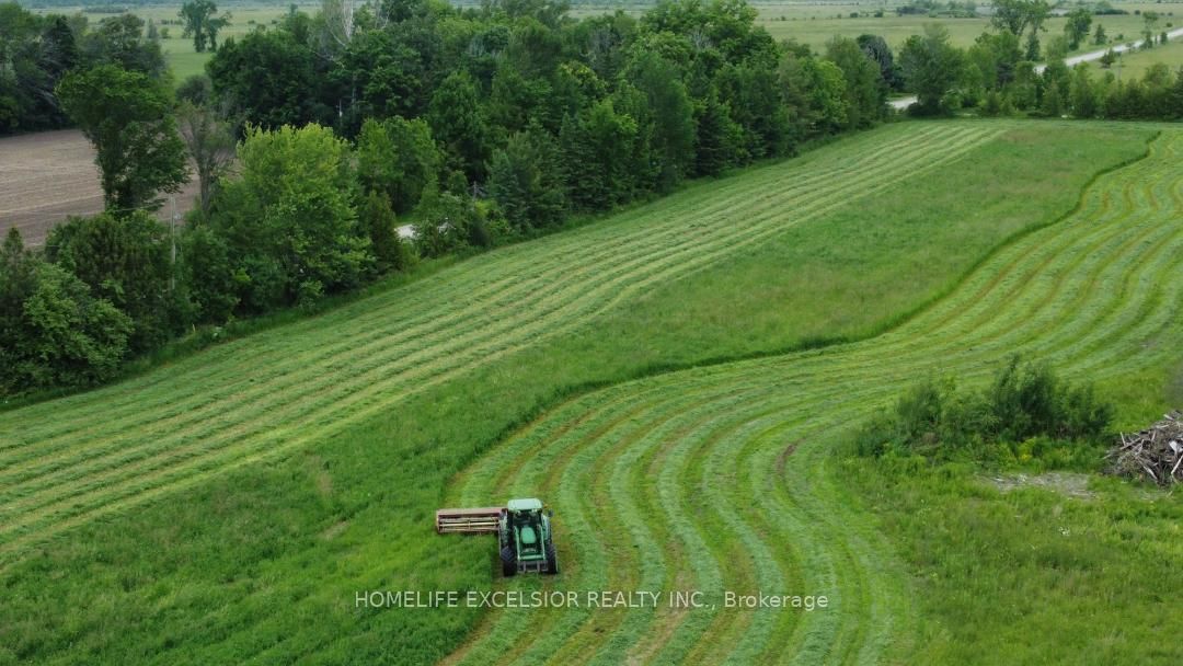 1854 5 Side Road Property Photo 3