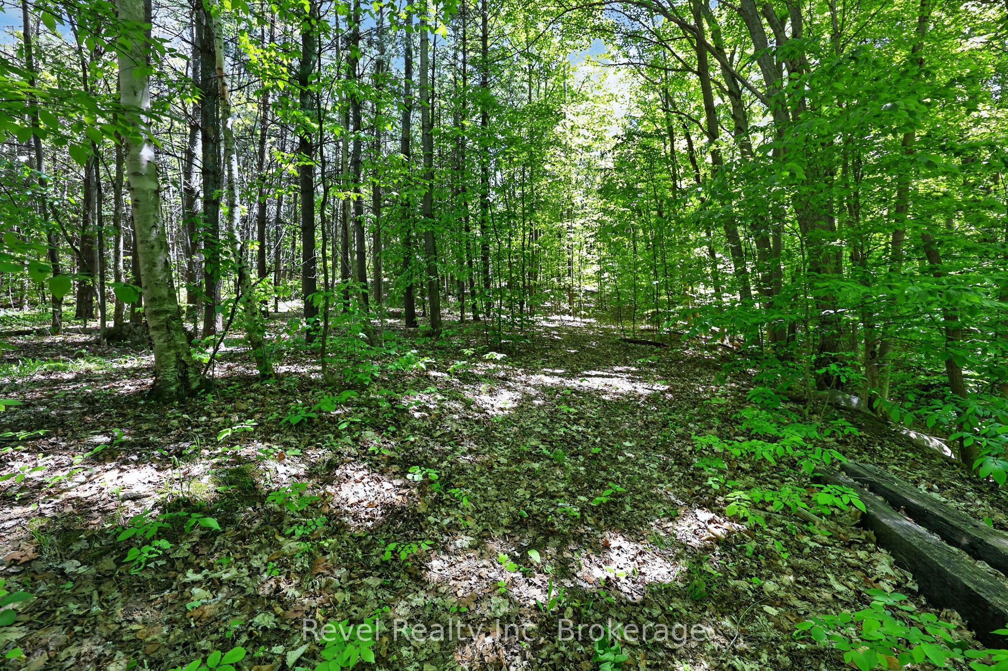 2391 Rumney Road Property Photo 21