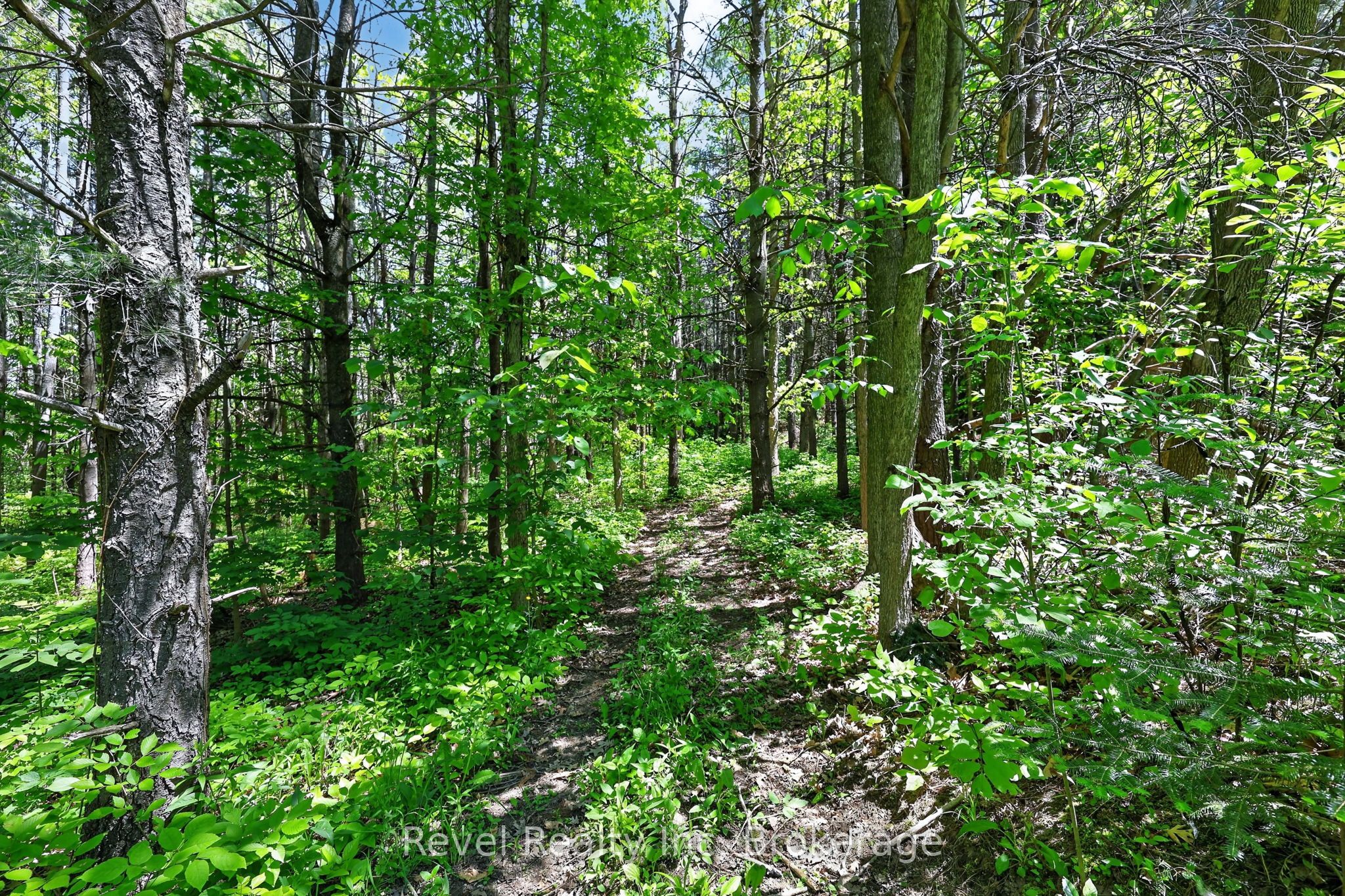 2391 Rumney Road Property Photo 22