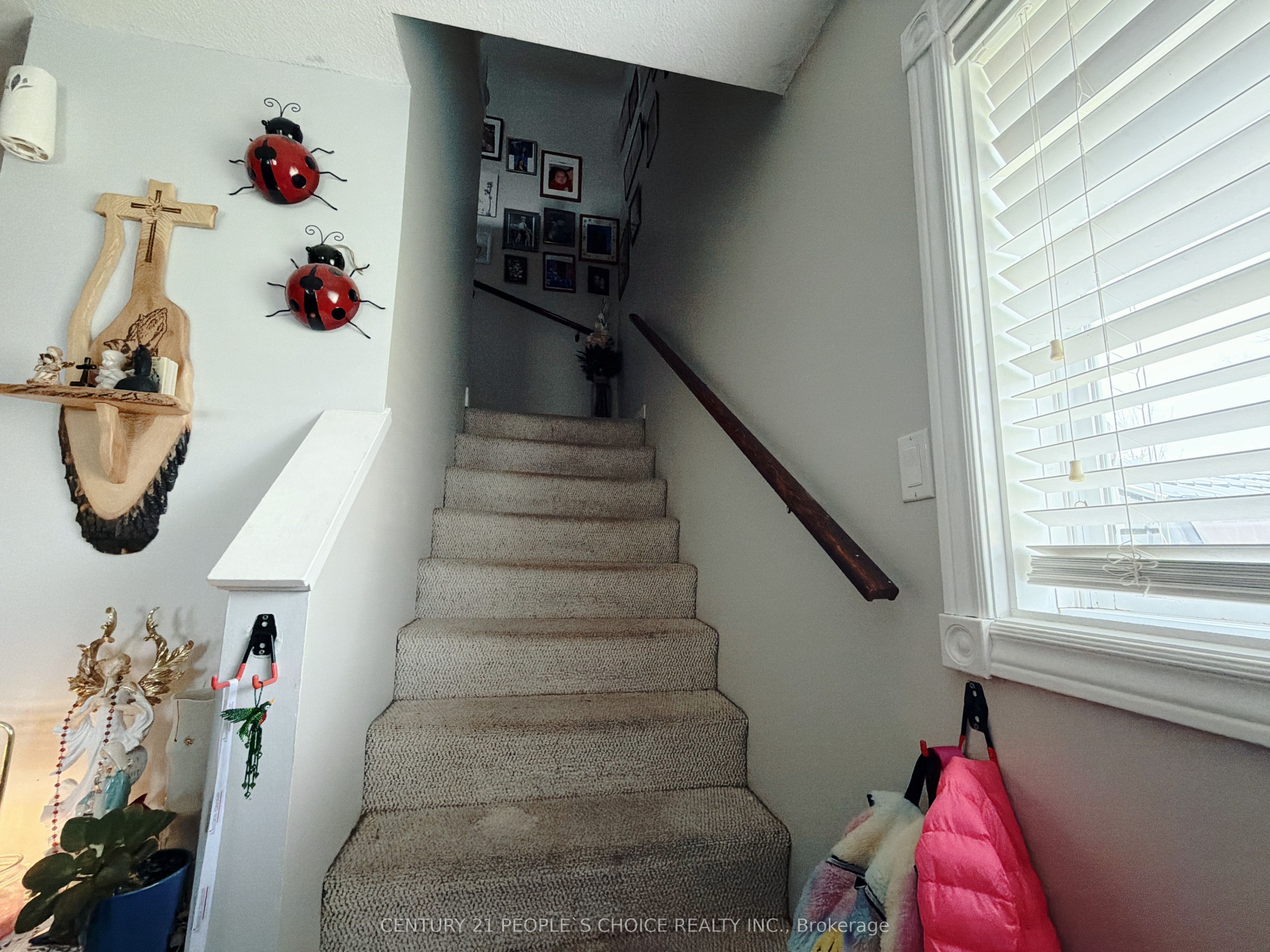 66 Michael Crescent Property Photo 6