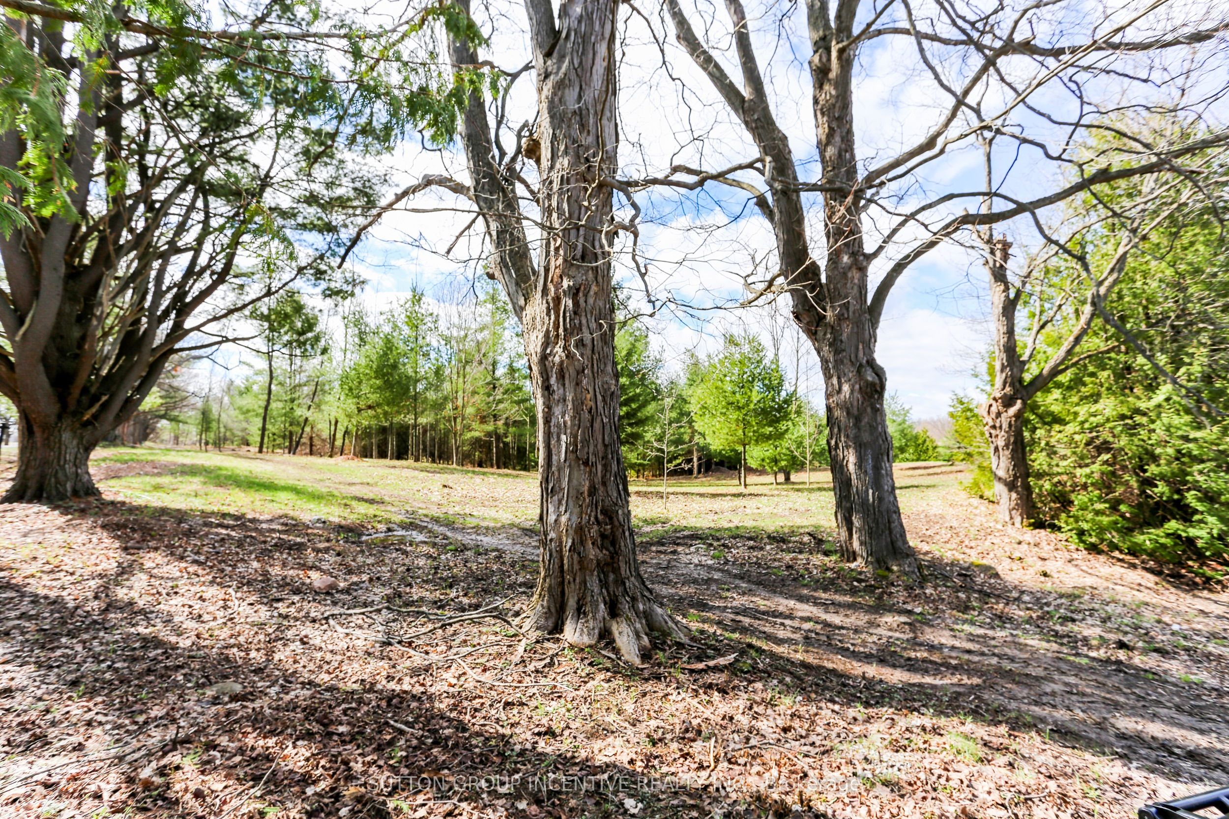 2790 Old Second Road S Property Photo 5