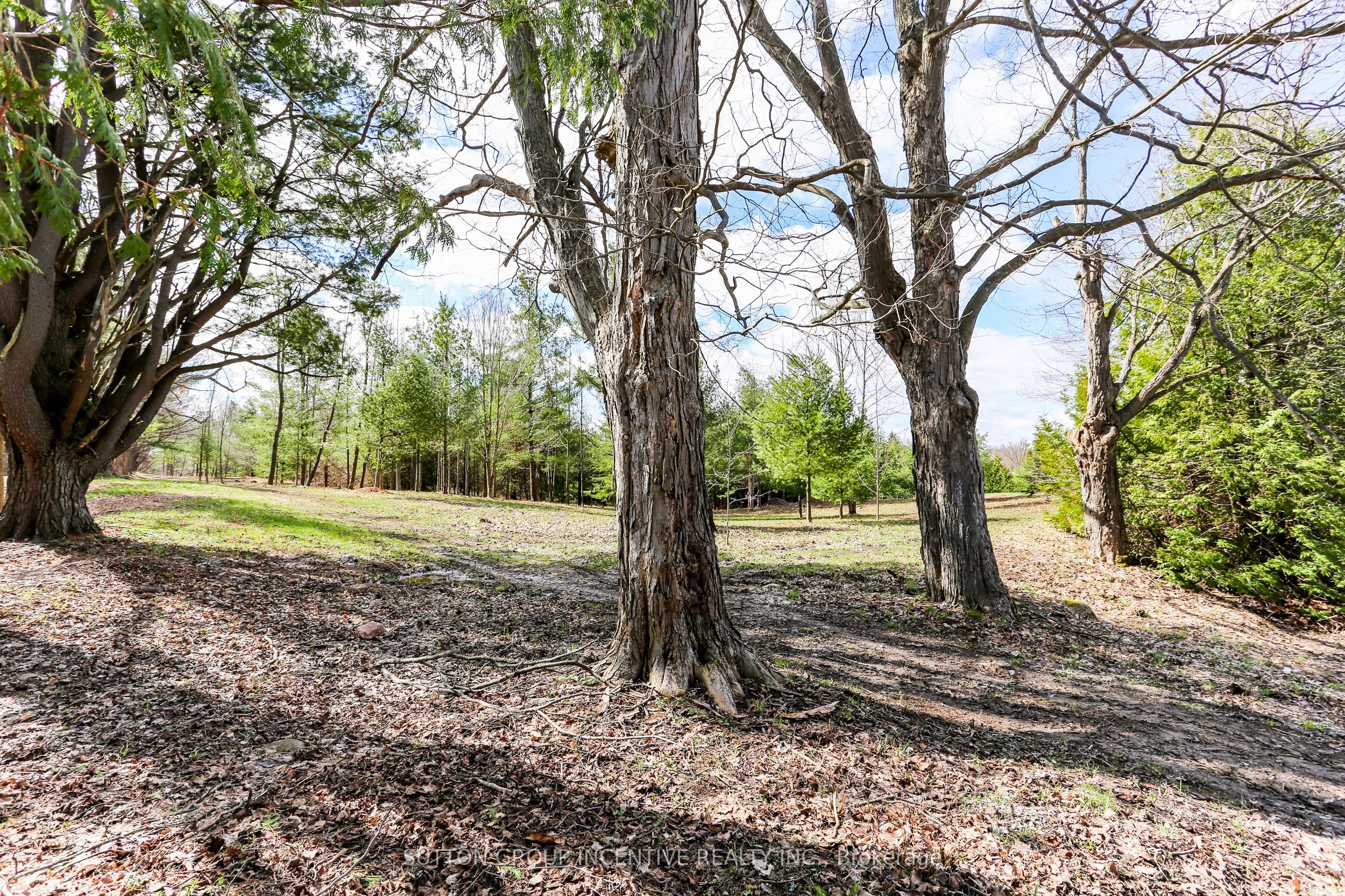 2790 Old Second Road S Property Photo 6