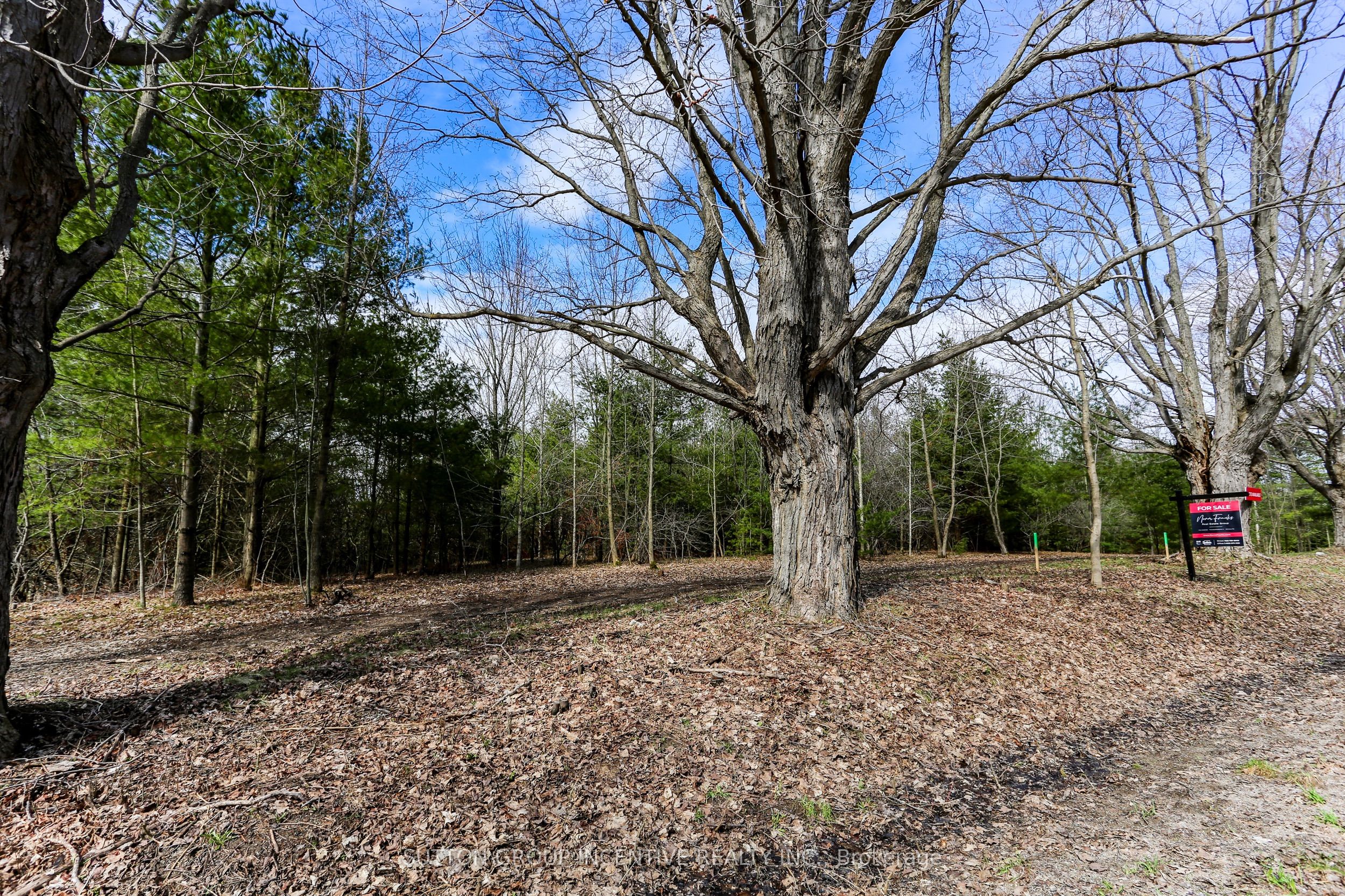 2790 Old Second Road S Property Photo 16