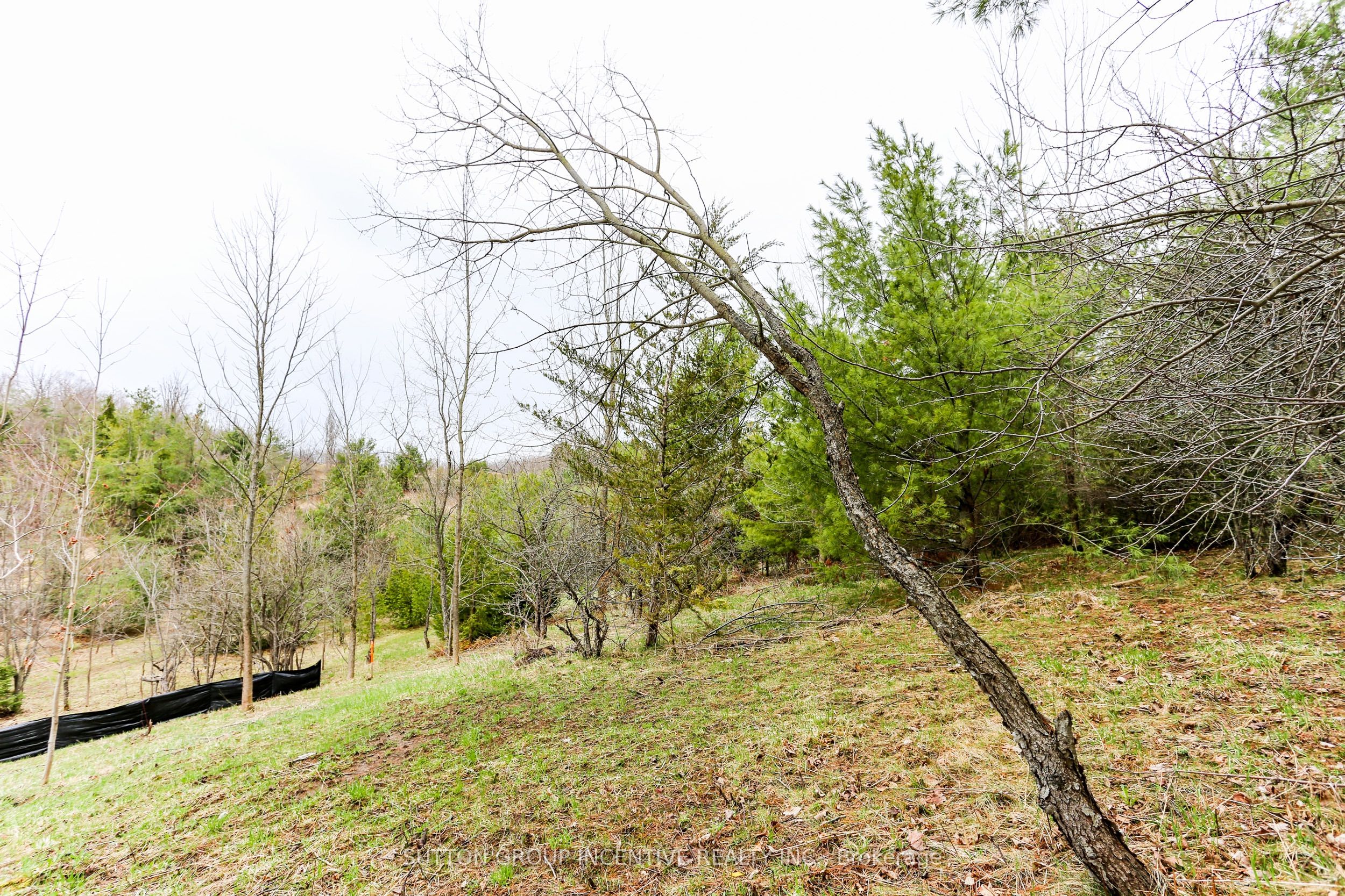 2790 Old Second Road S Property Photo 18