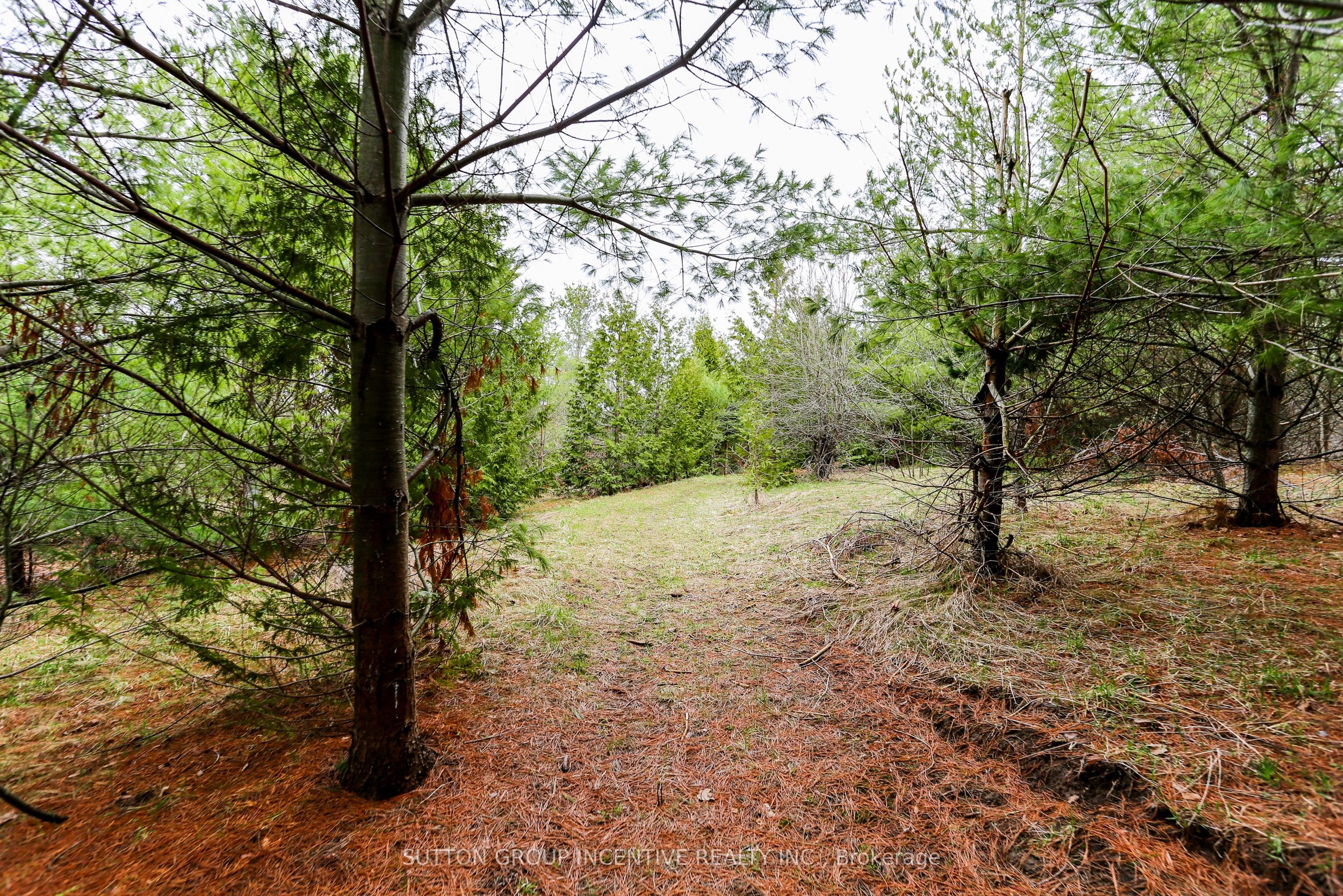 2790 Old Second Road S Property Photo 19