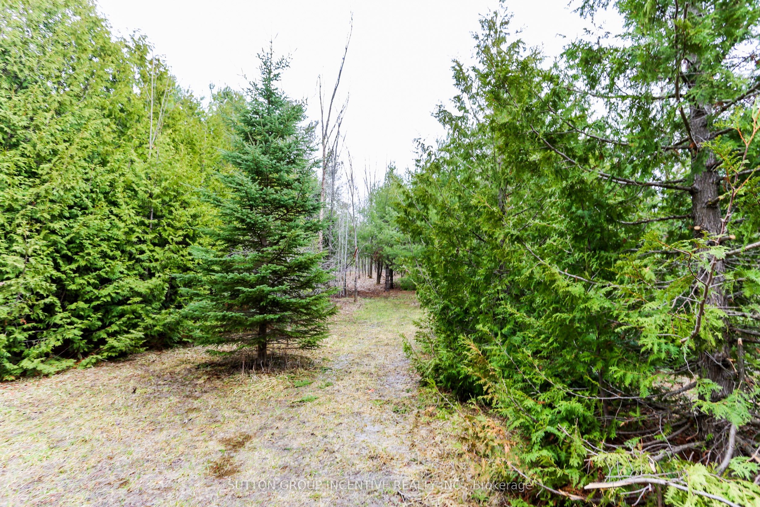 2790 Old Second Road S Property Photo 21