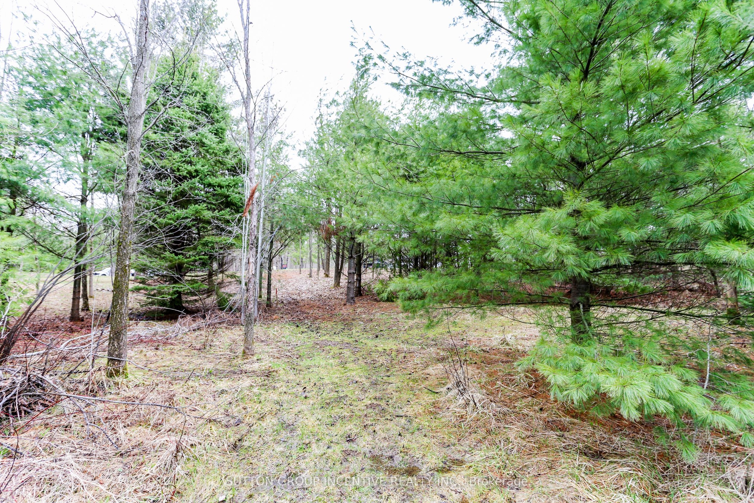 2790 Old Second Road S Property Photo 22