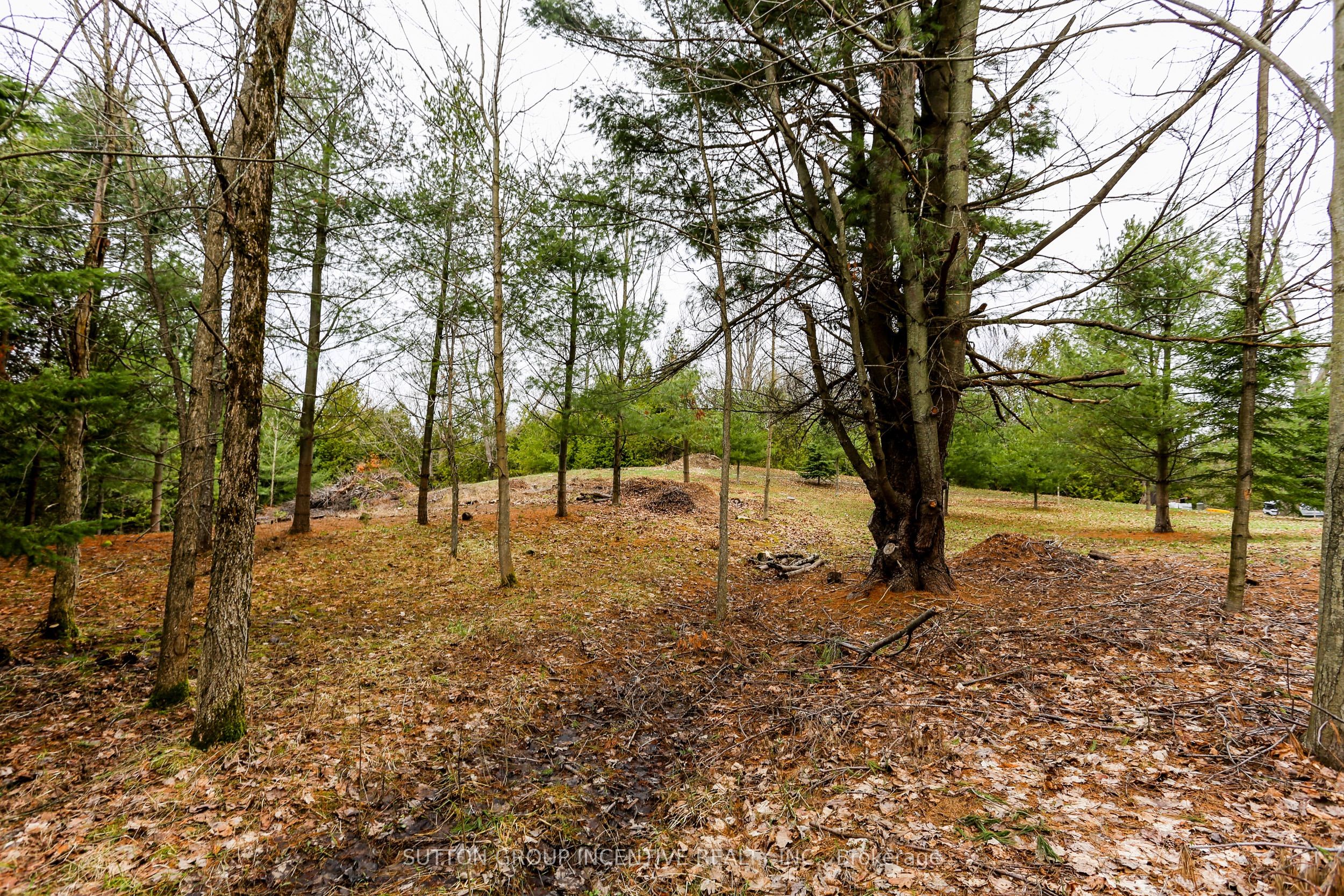 2790 Old Second Road S Property Photo 23
