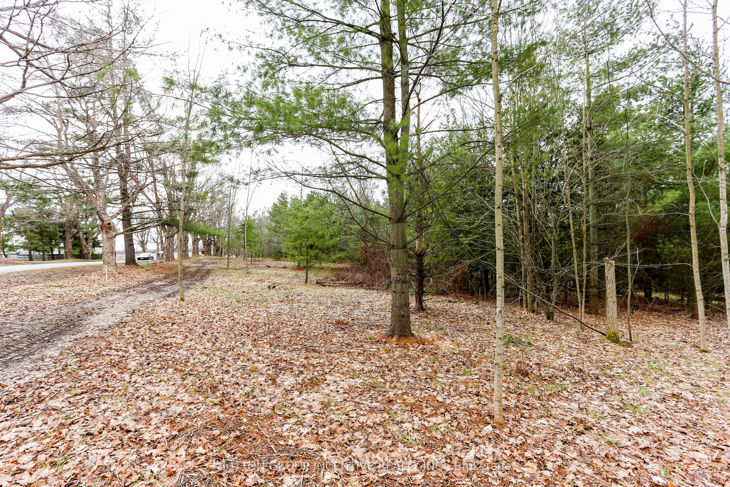 2790 Old Second Road S Property Photo 26